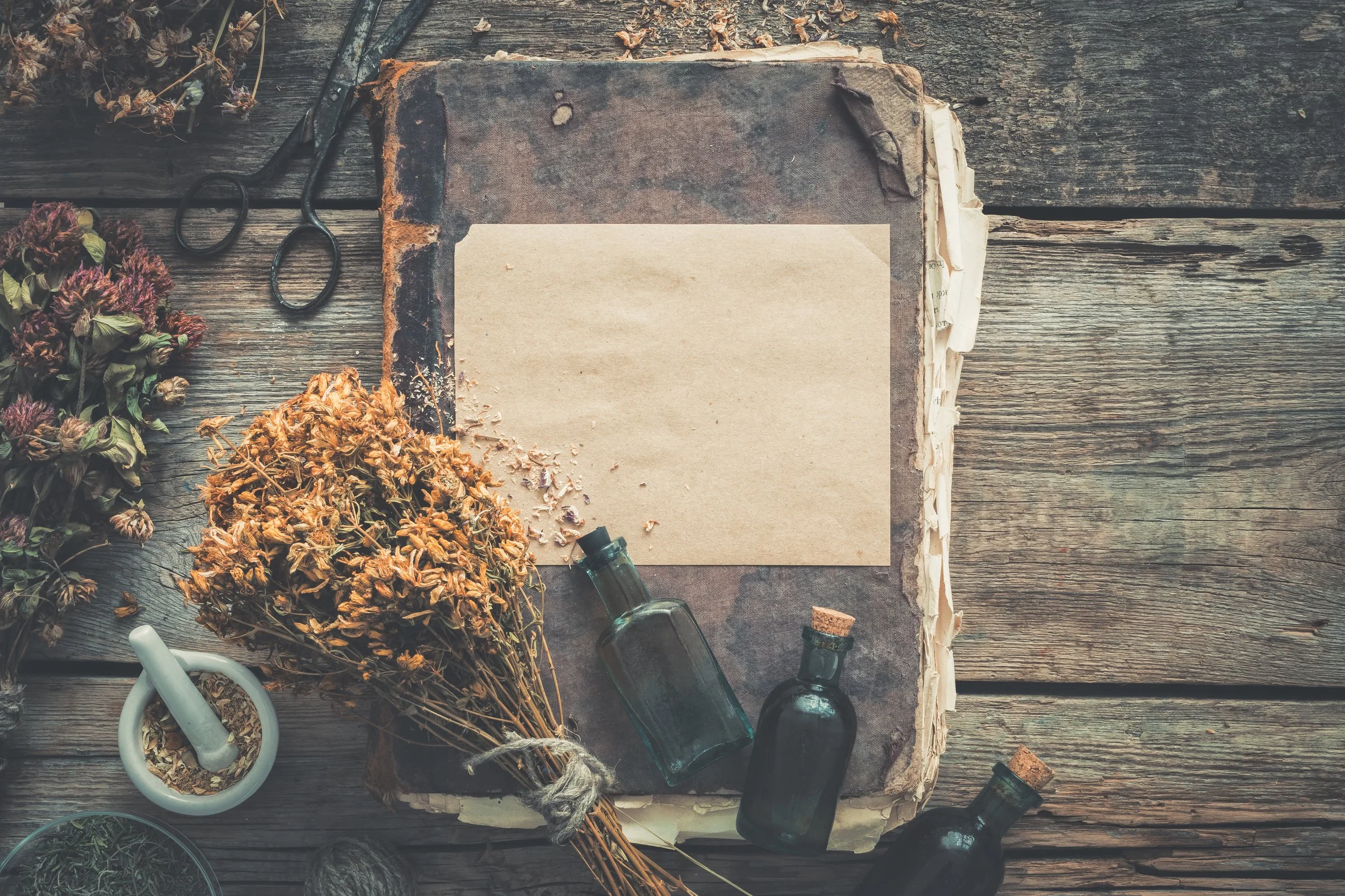 🔮 Knowledge is power....and protection  ✨Channeled Message✨