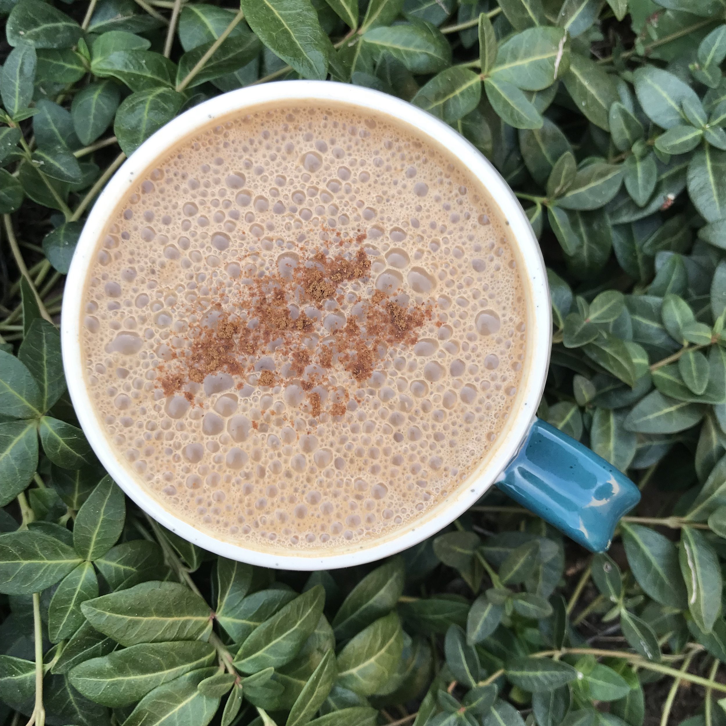 Coffeeless Mushroom Mocha