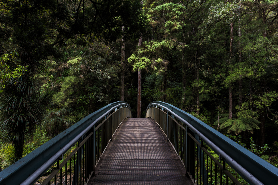8 Ways to Find Your Path Living with Chronic Illness.