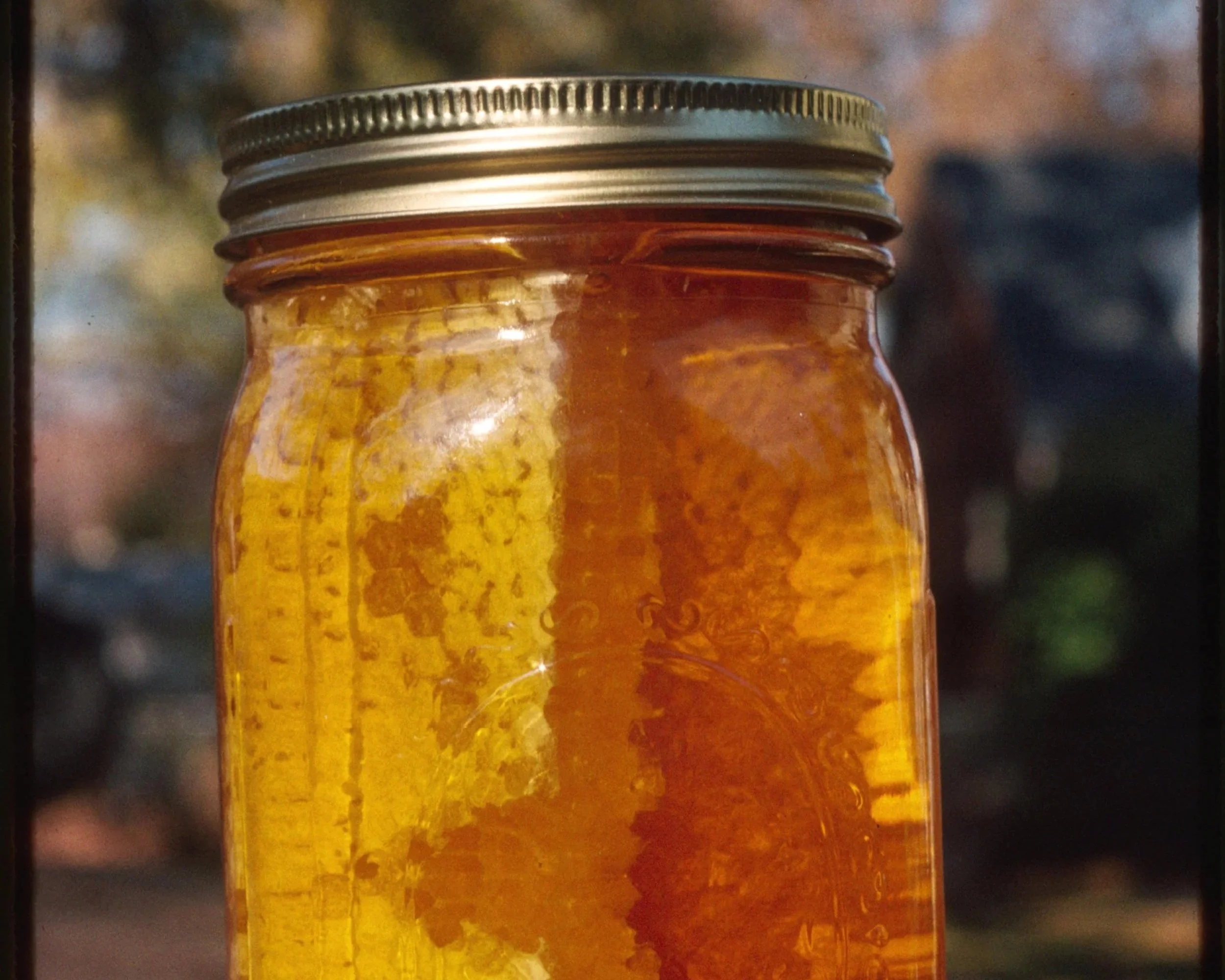 Mason jar with honey comb and blurred forest in background