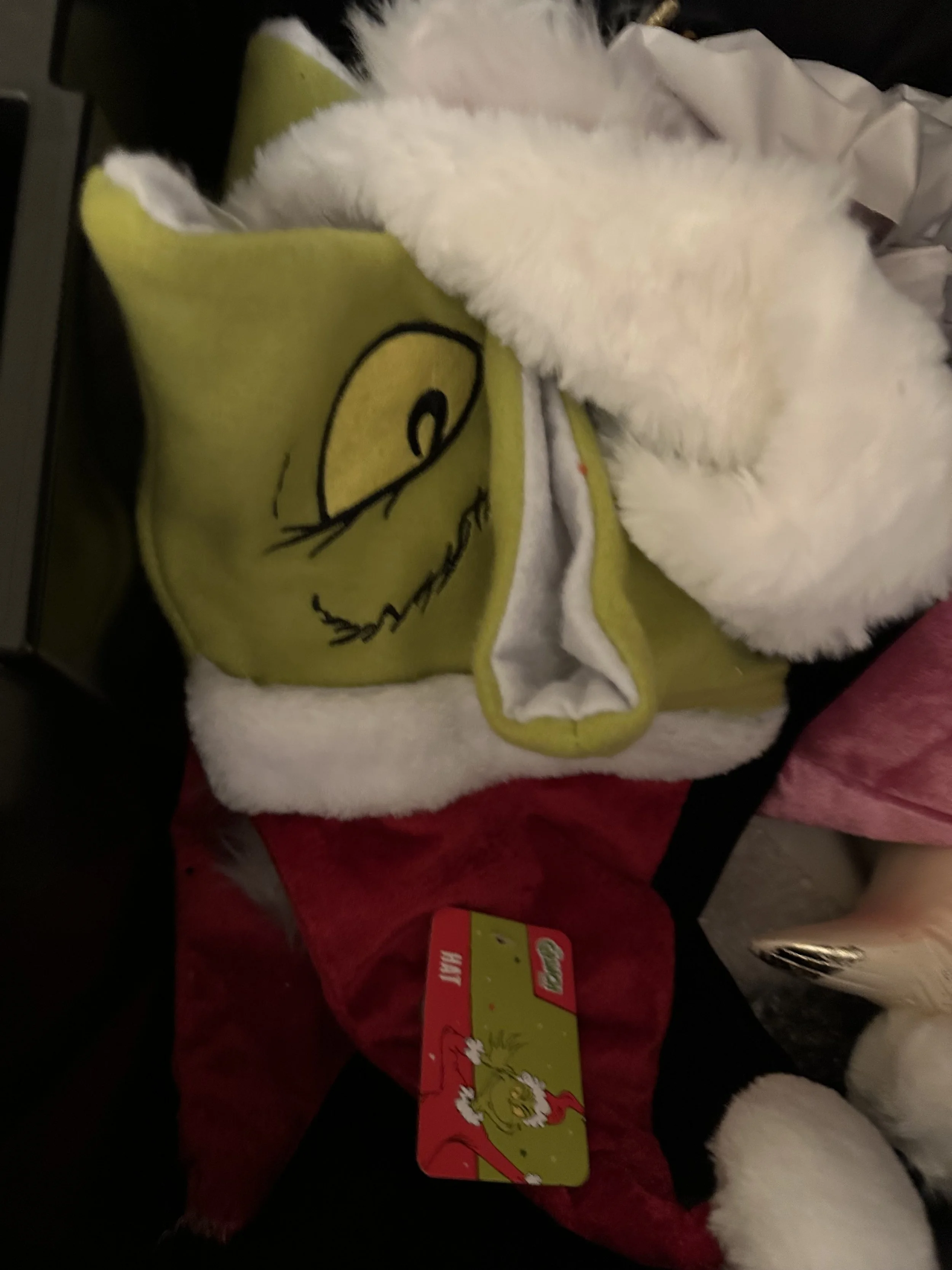 IMG_6477.jpeg