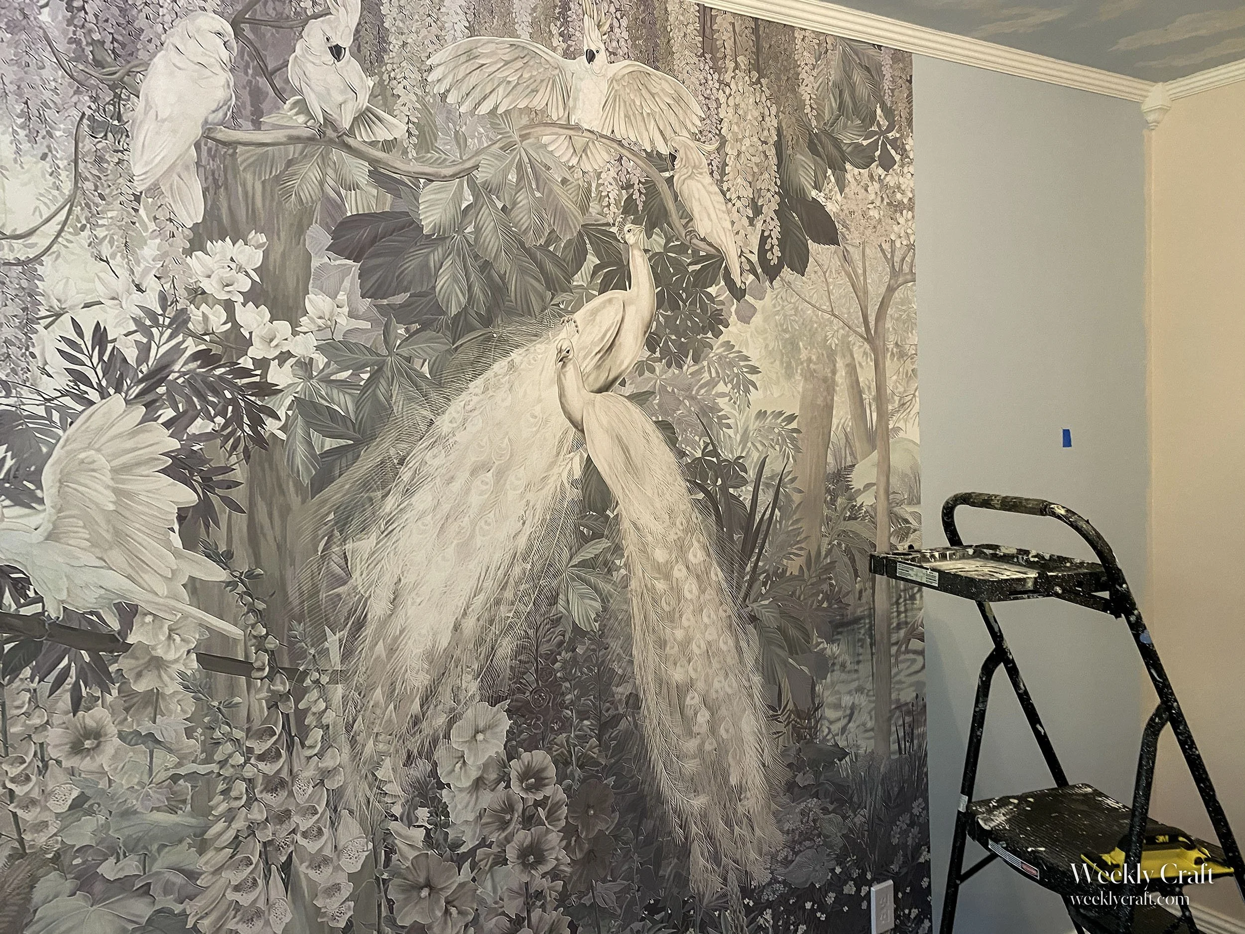 image_crop_and_resize-6d757445-a478-4185-aed2-347a7b3411ed.jpg