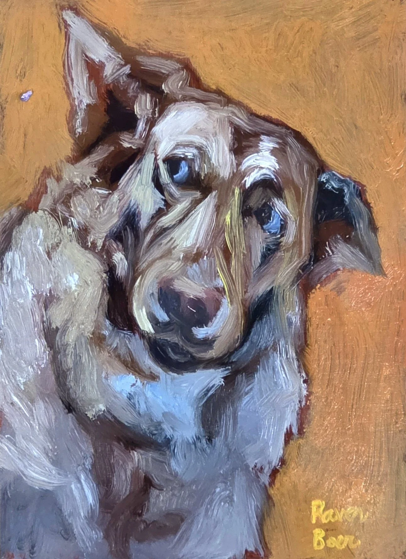 Oil on board 5"x7", 2026