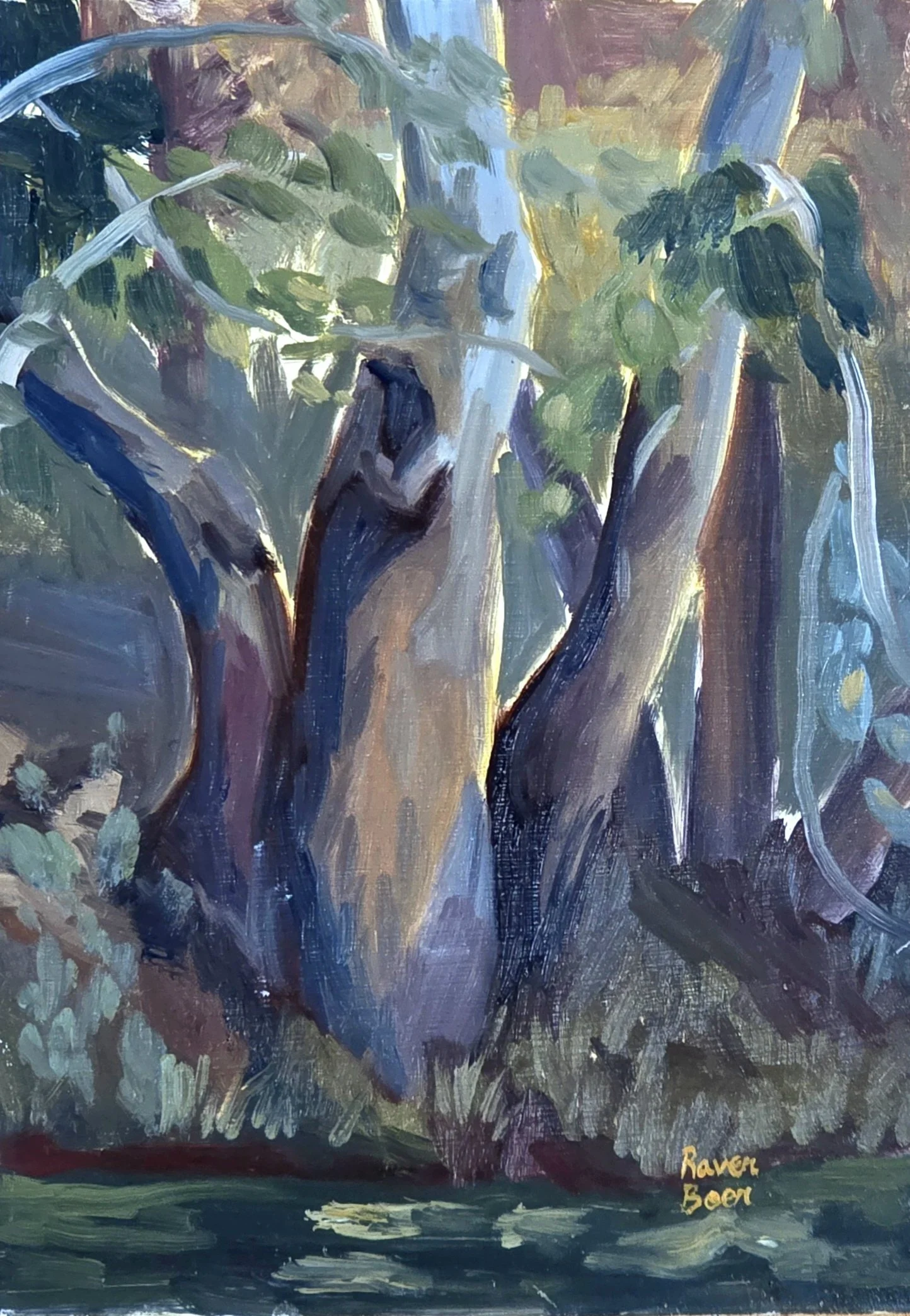 25495.jpg
