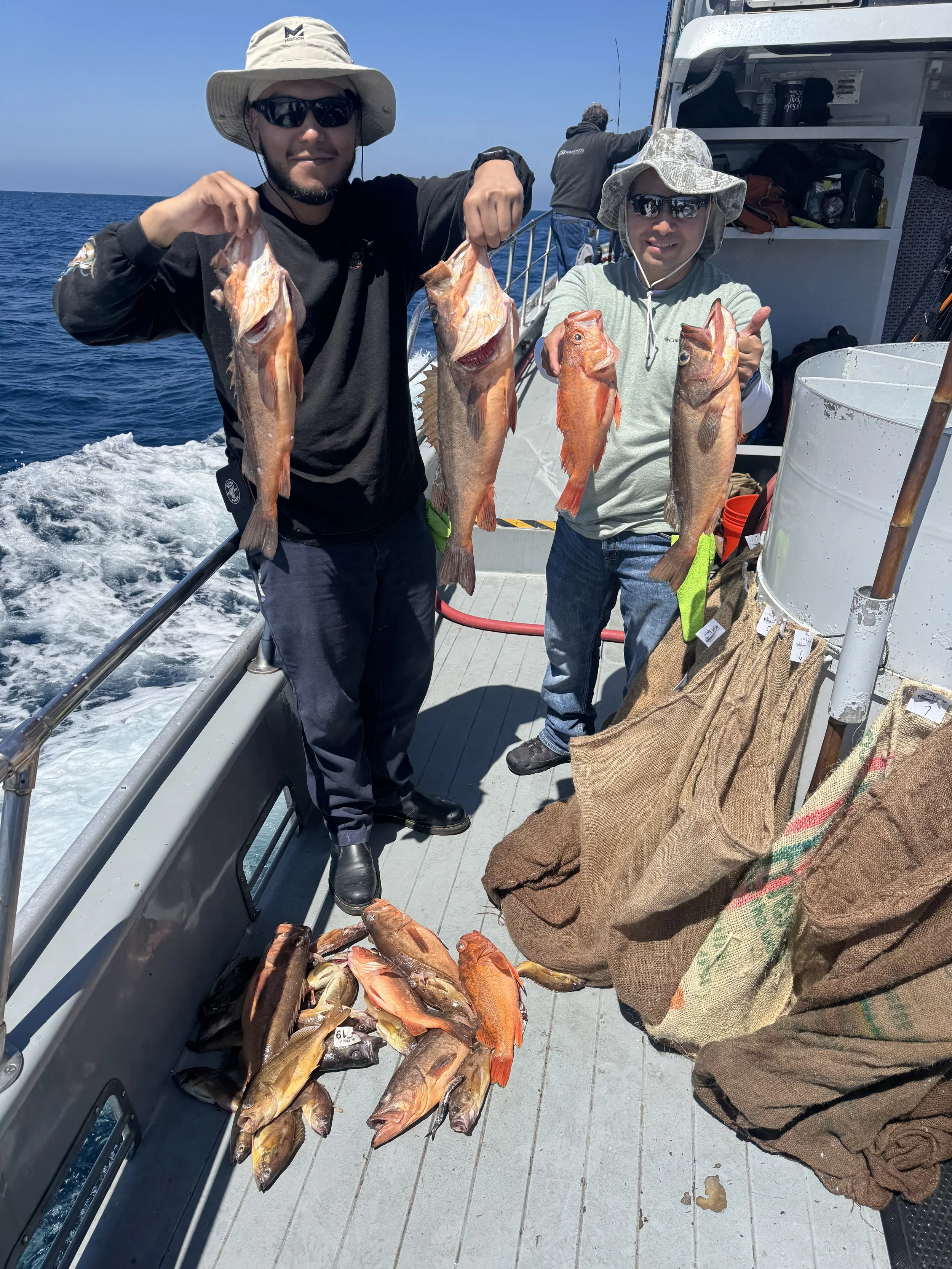 Catalina Island Trip