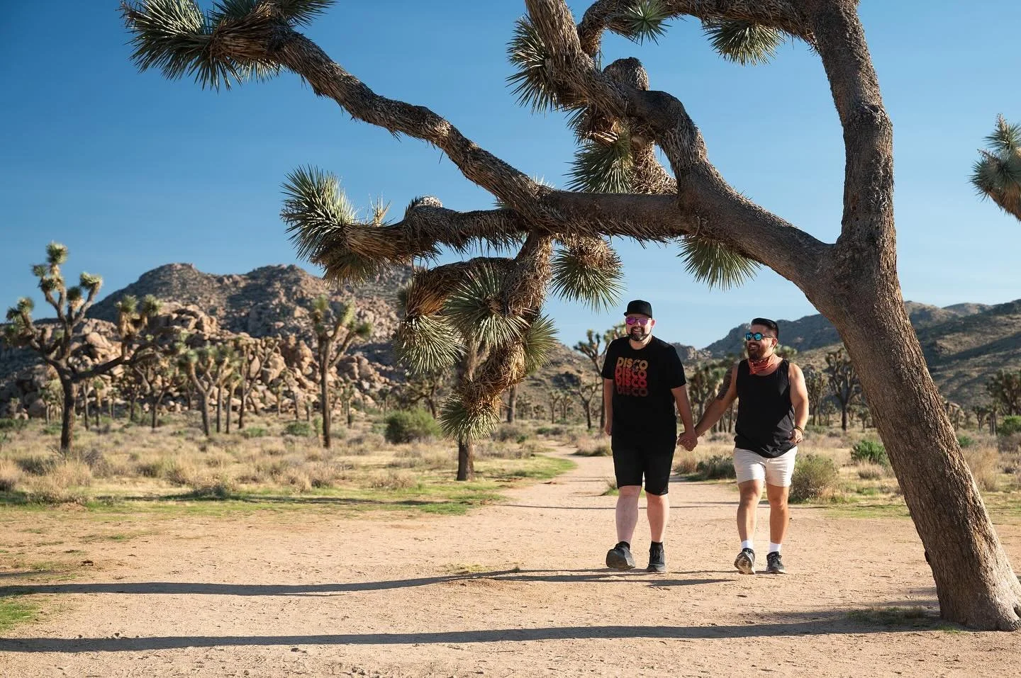 Have you been to Joshua Tree National Park?
