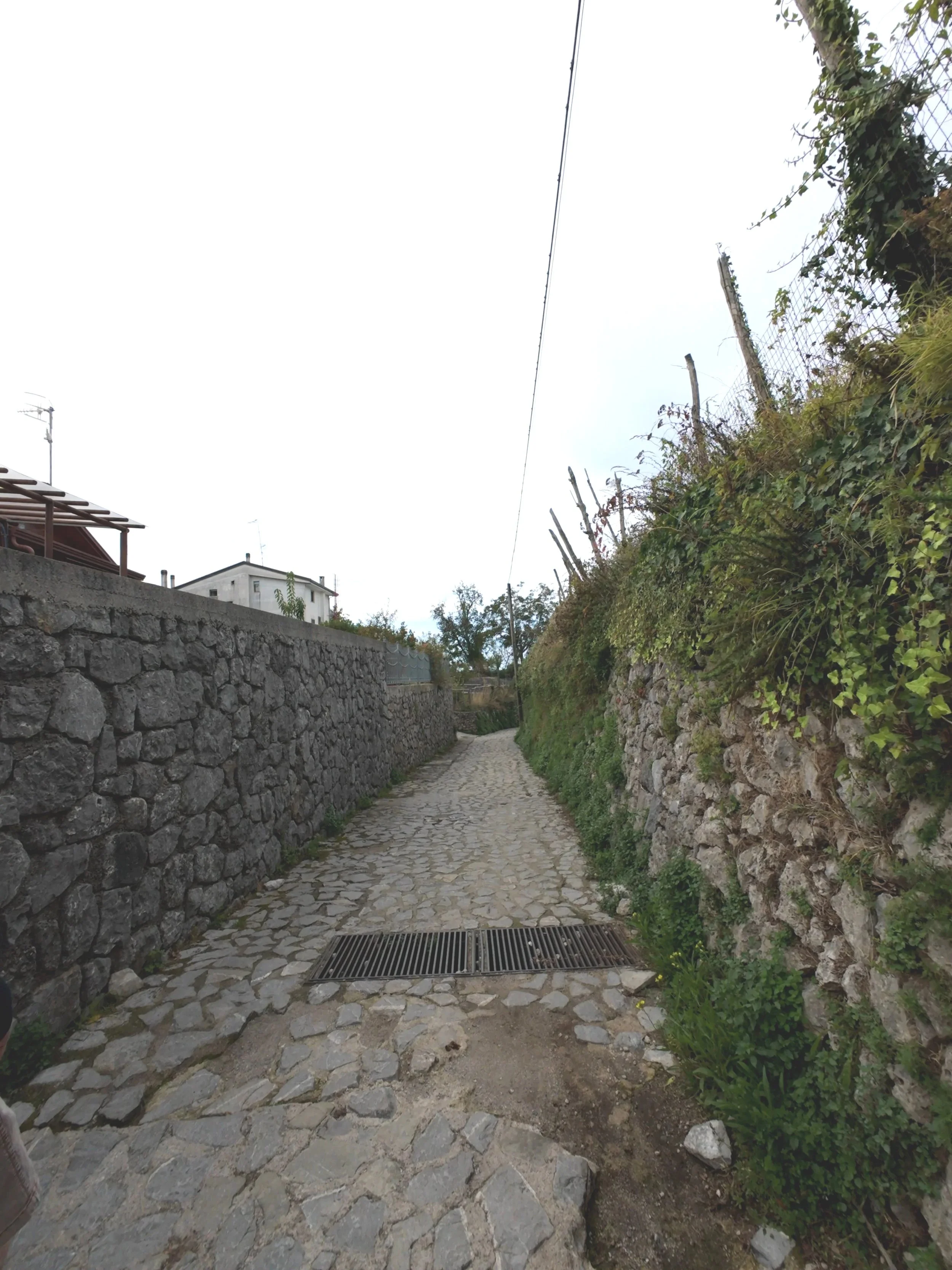 first+part+of+trail+-+cobblestones.jpg