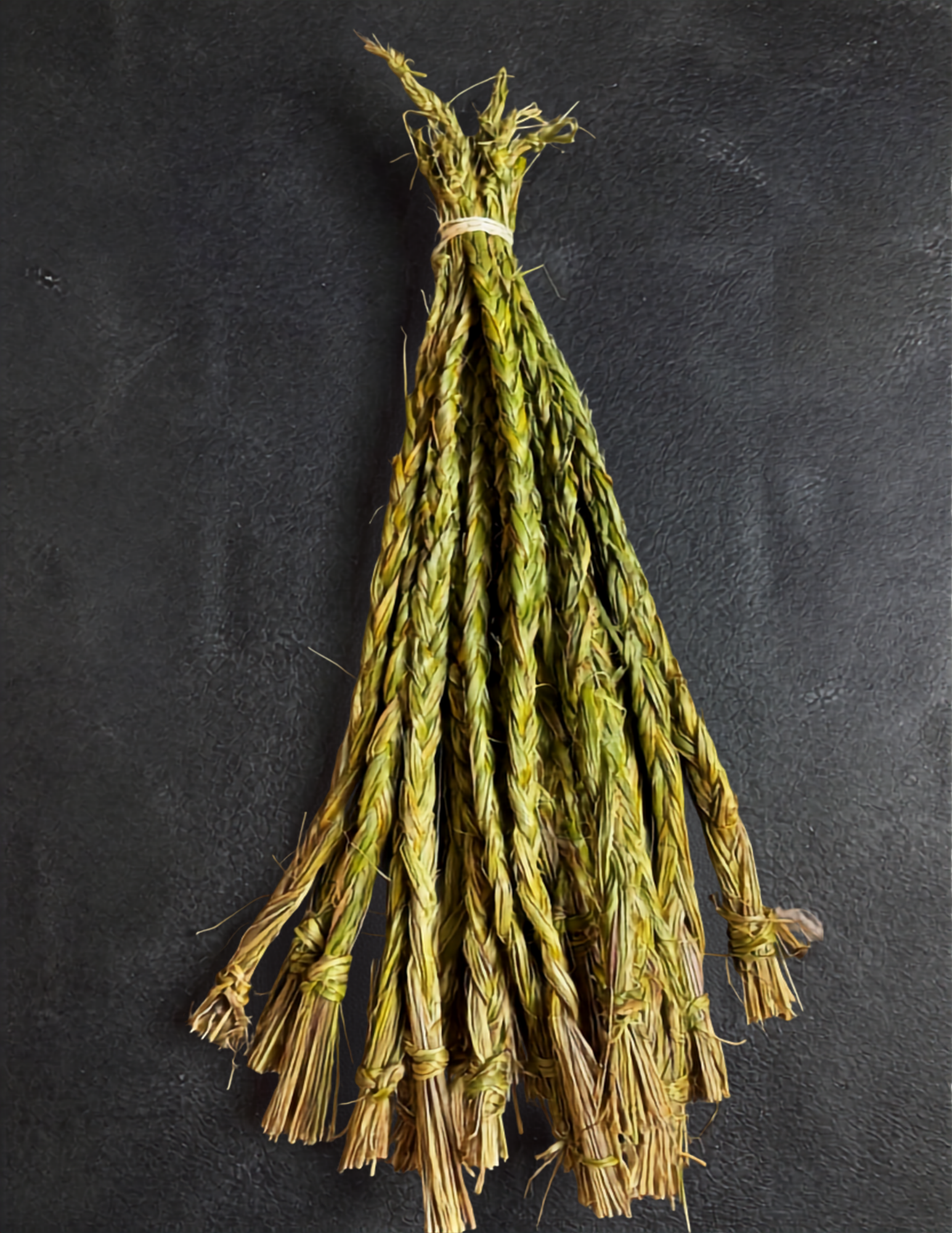 20" Dried Sweetgrass