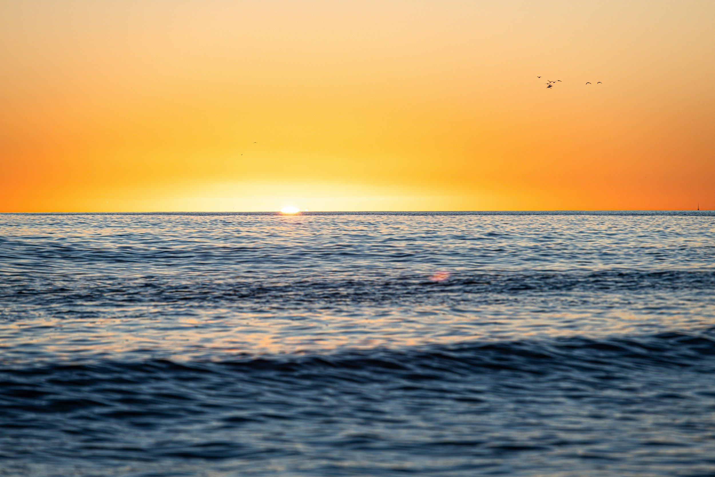 unsplash-image-vNGoM9WpWtg.jpg