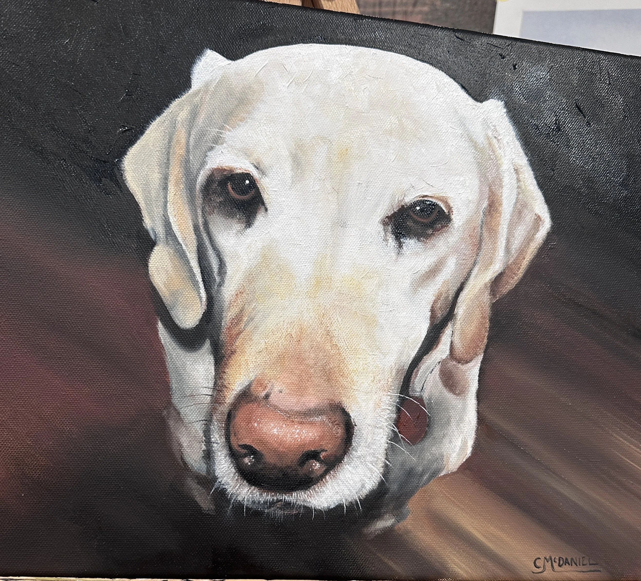 "Bohdi" Oil on canvas 12x16 SOLD