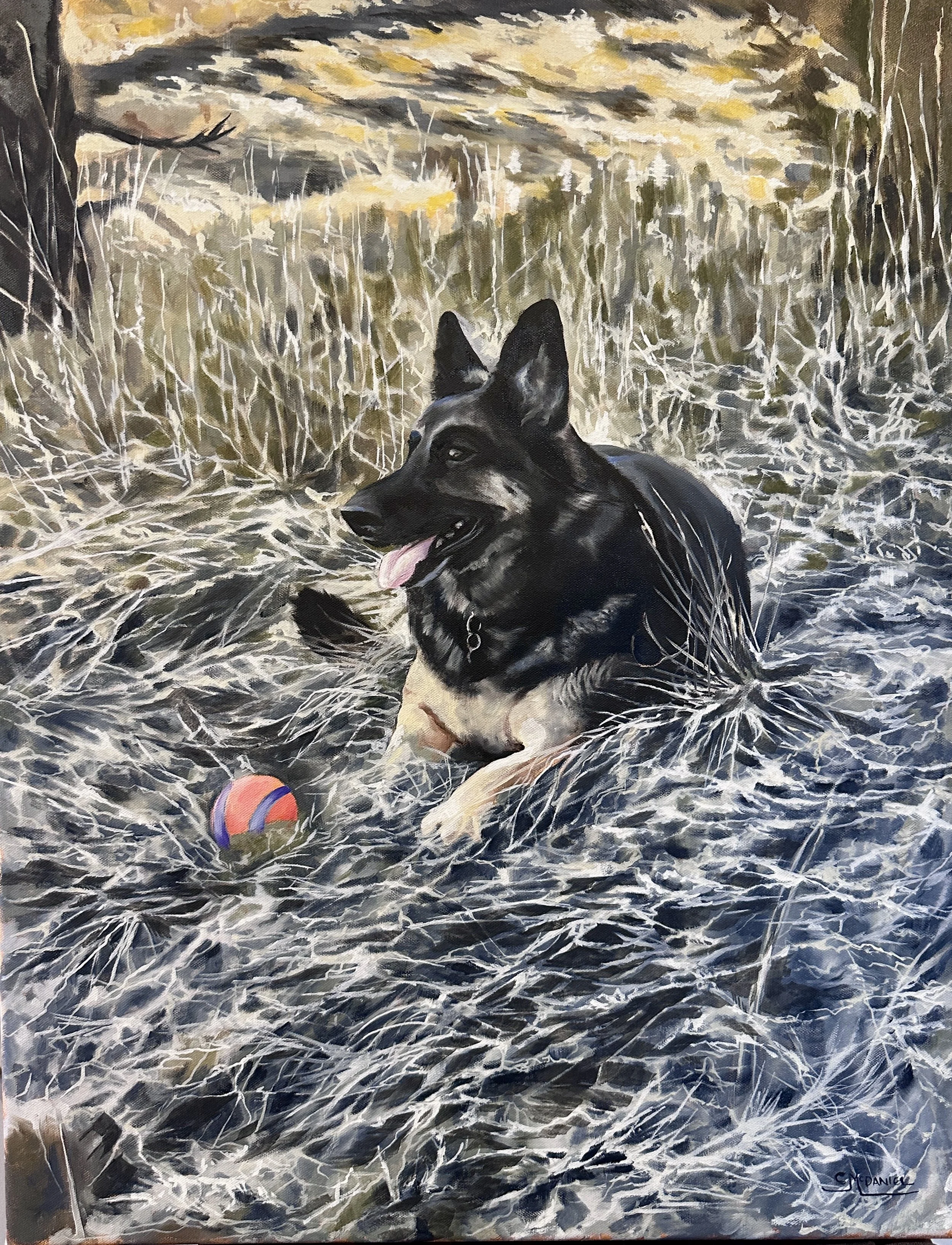 "Scout" Oil on canvas 22x28 SOLD