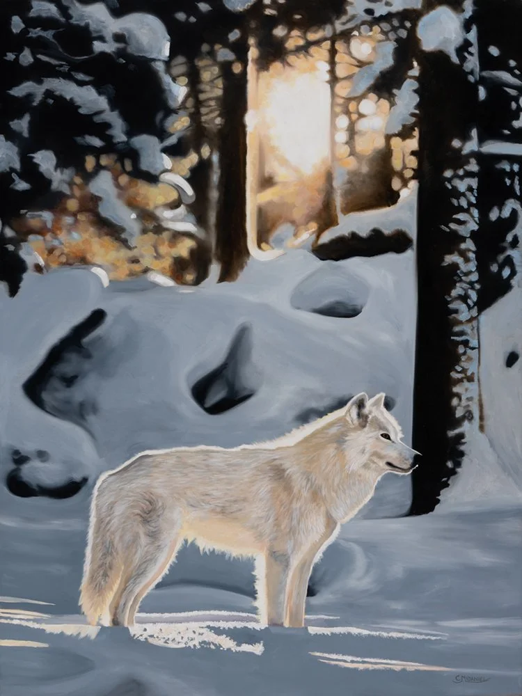 "The White Watch" 30"x40" Oil on Canvas