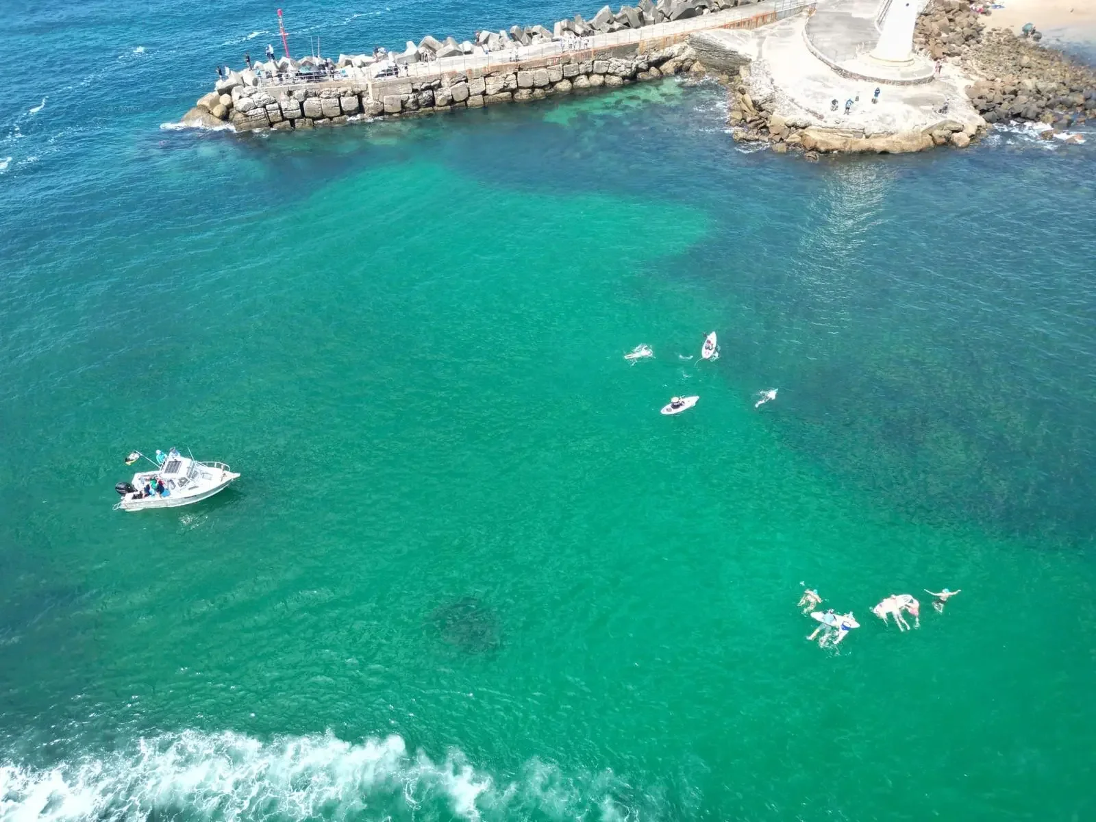 Great Southern Swim&nbsp;Ratified by Marathon Swimming Australia