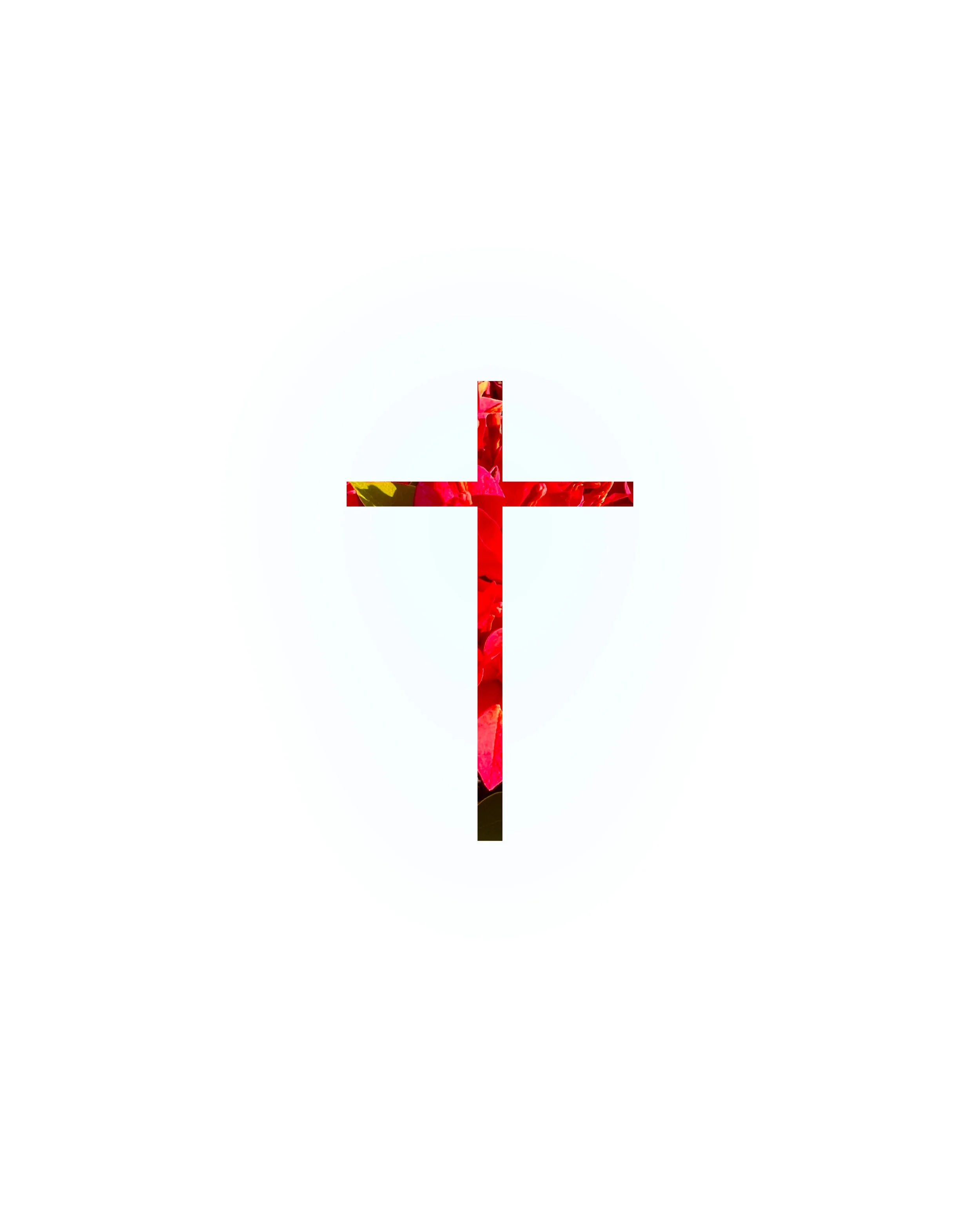 Luke 1 45 (the cross) †.jpg