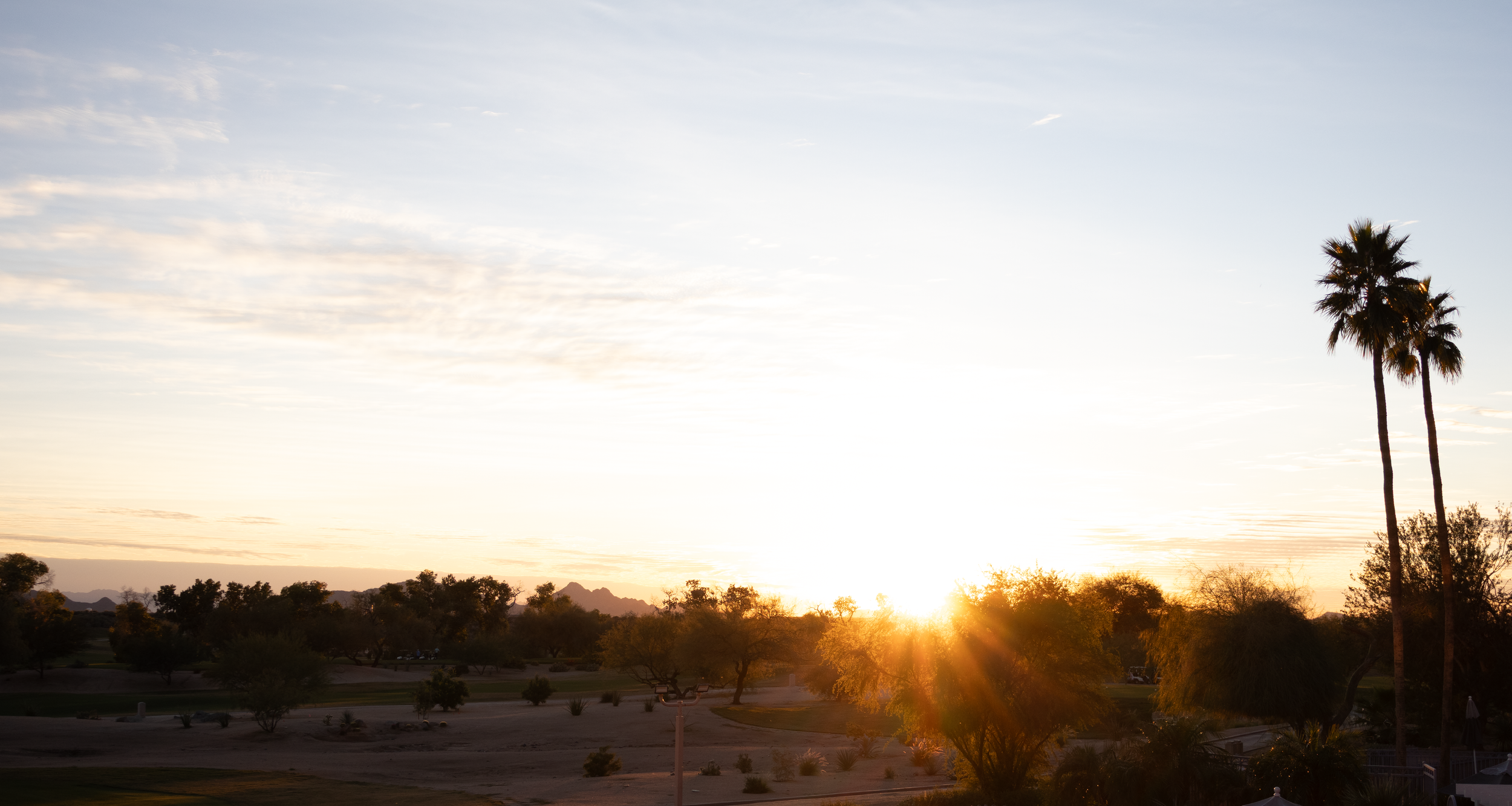 12.29.25 | McDowell Mountain Preserve †-7.png
