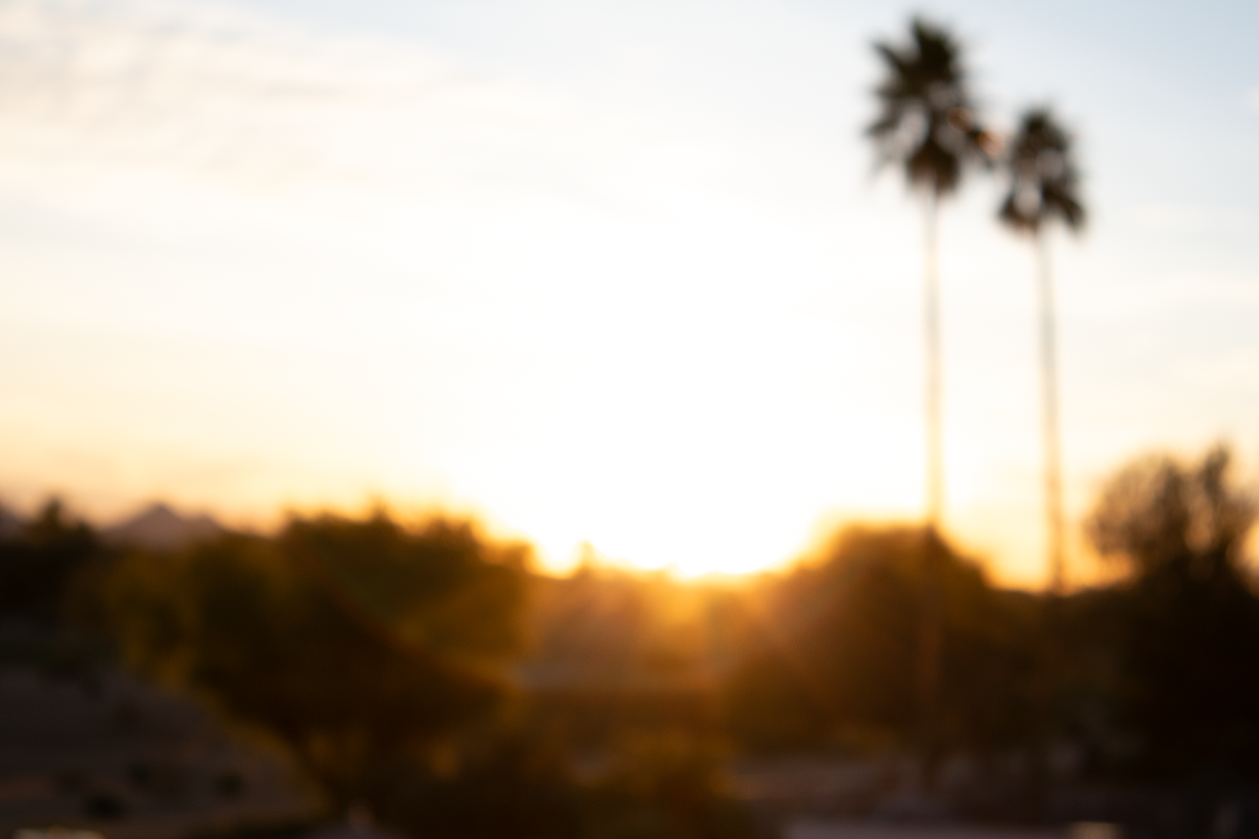 12.29.25 | McDowell Mountain Preserve †-4.png