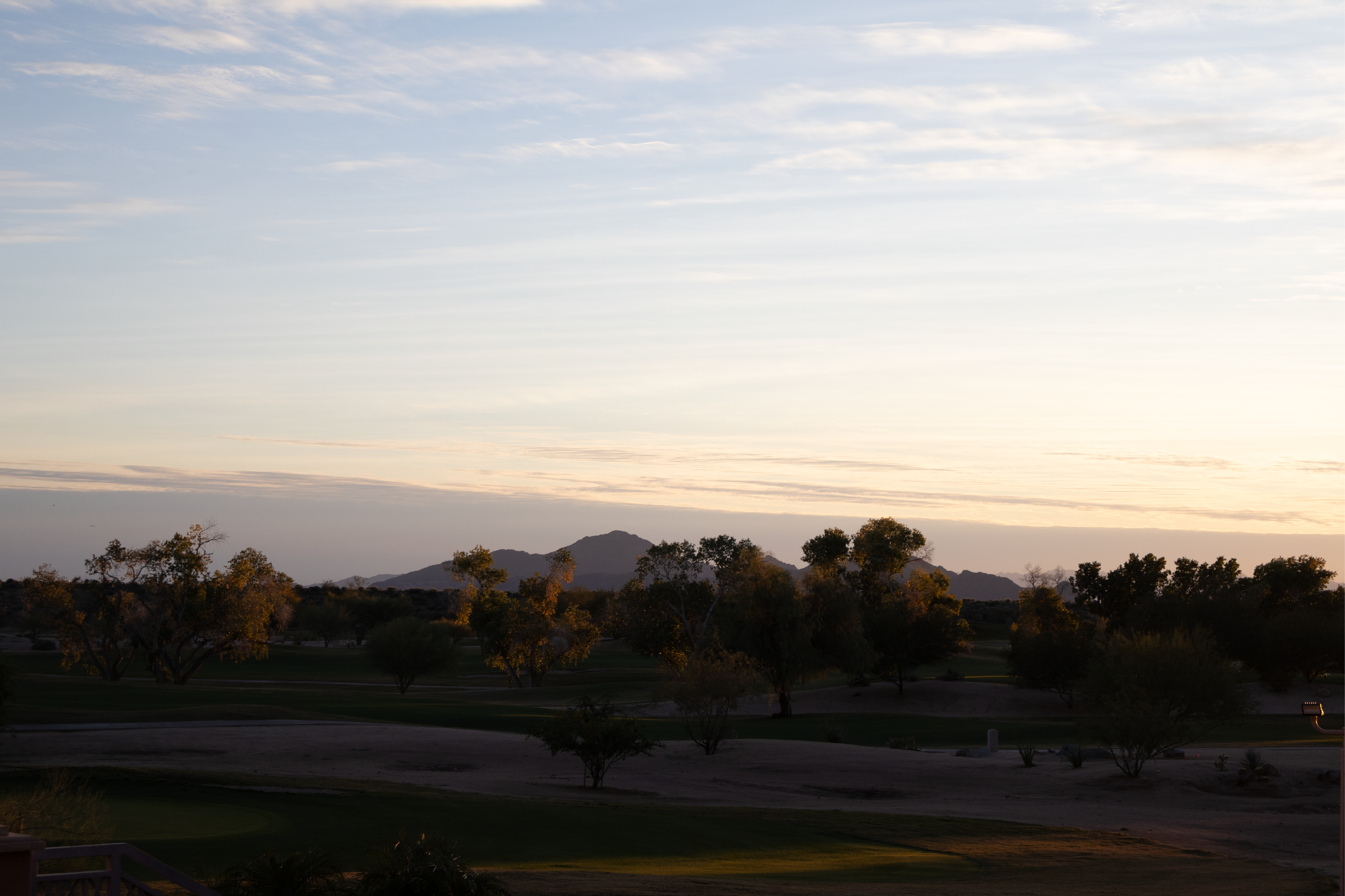 12.29.25 | McDowell Mountain Preserve †-10.png