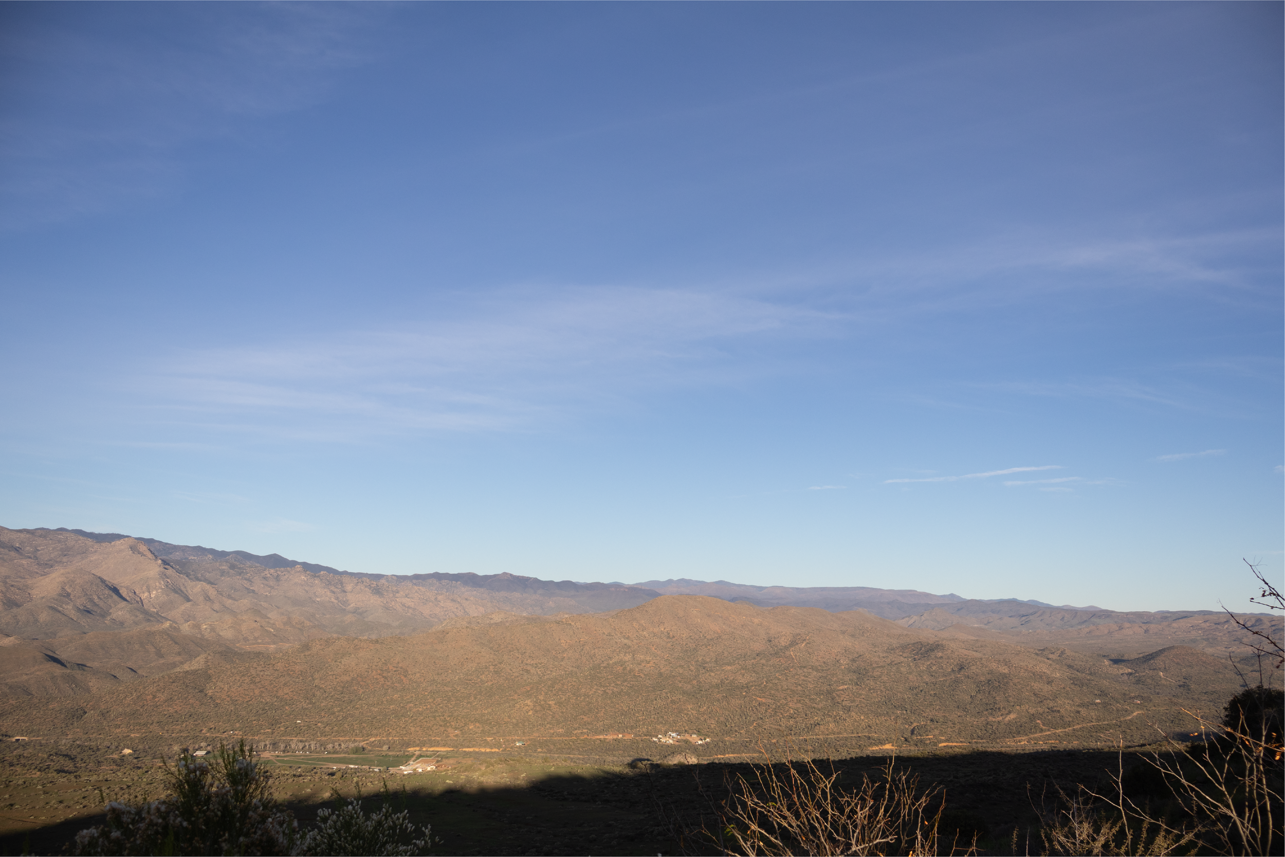 Faith That Moves Mountains | † | In The Wilderness.png