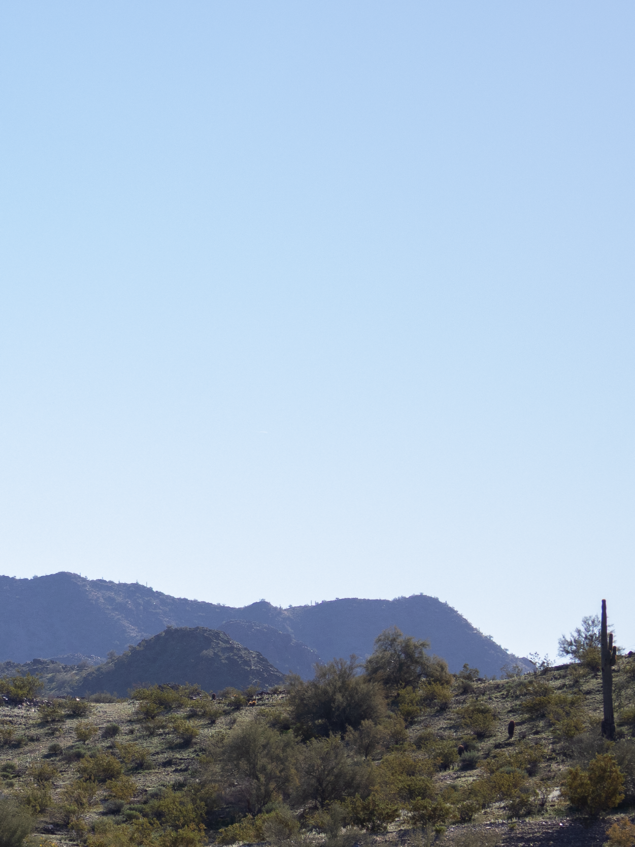 Pistewa Peak Mtns † || 12.21.25-06.png