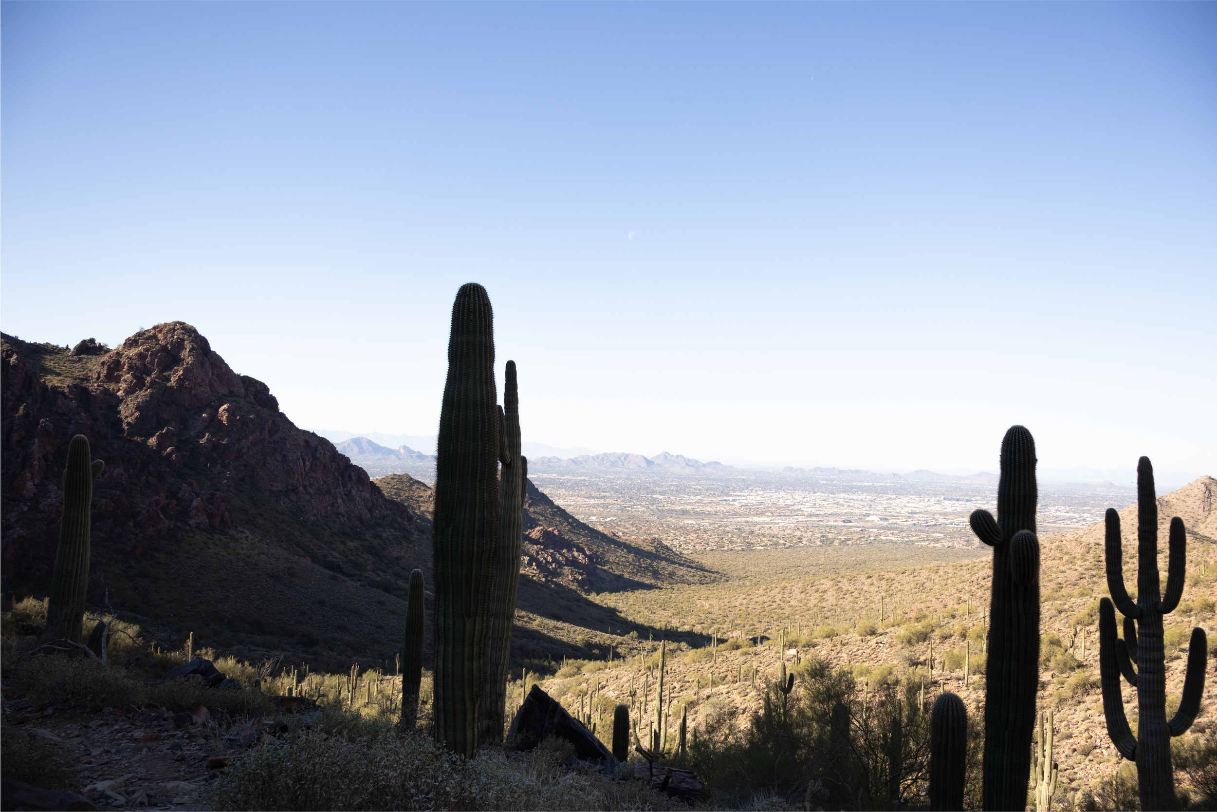 Faith | Spring 2026 †.png