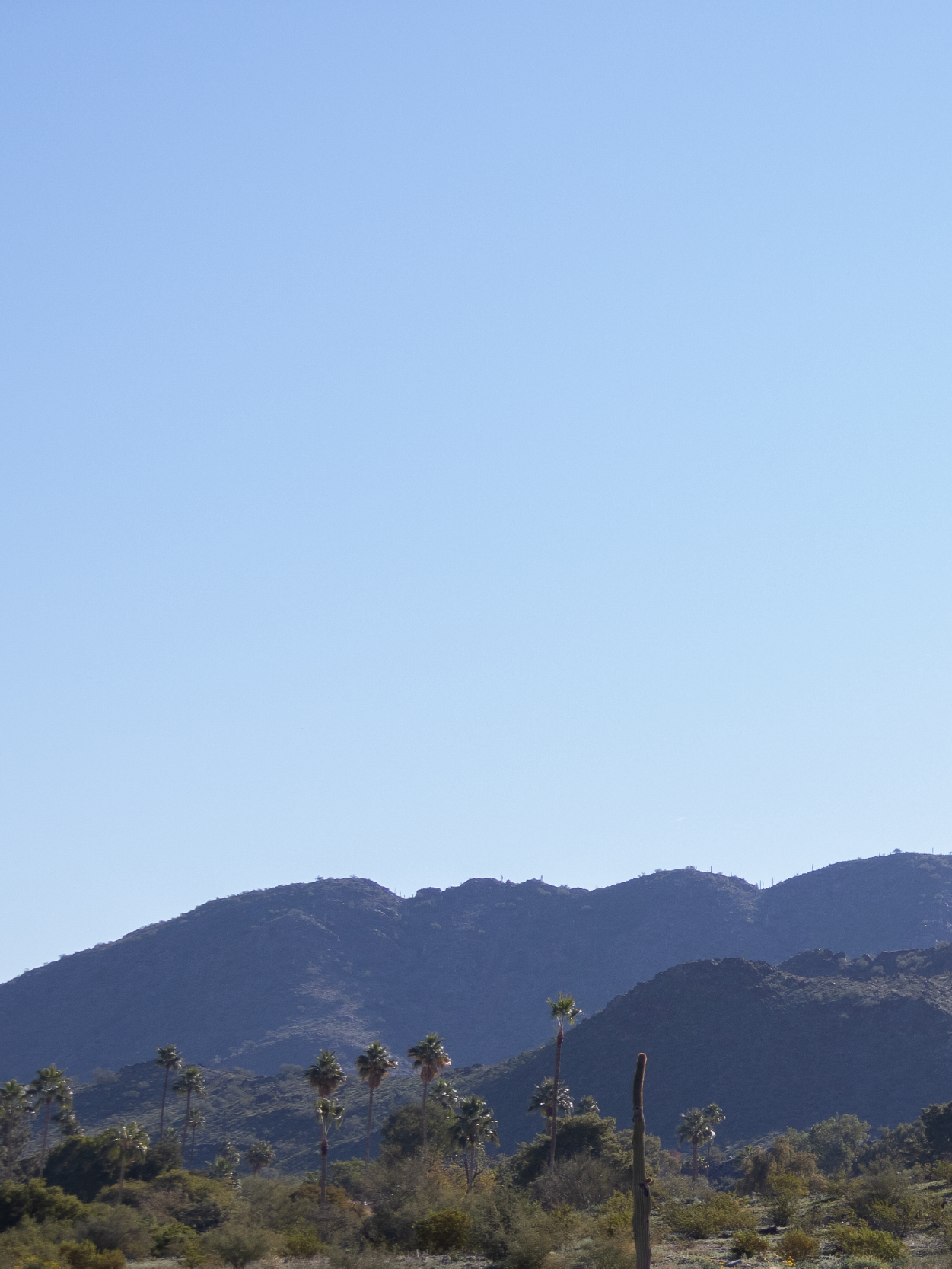 Pistewa Peak Mtns † || 12.21.25-04.png