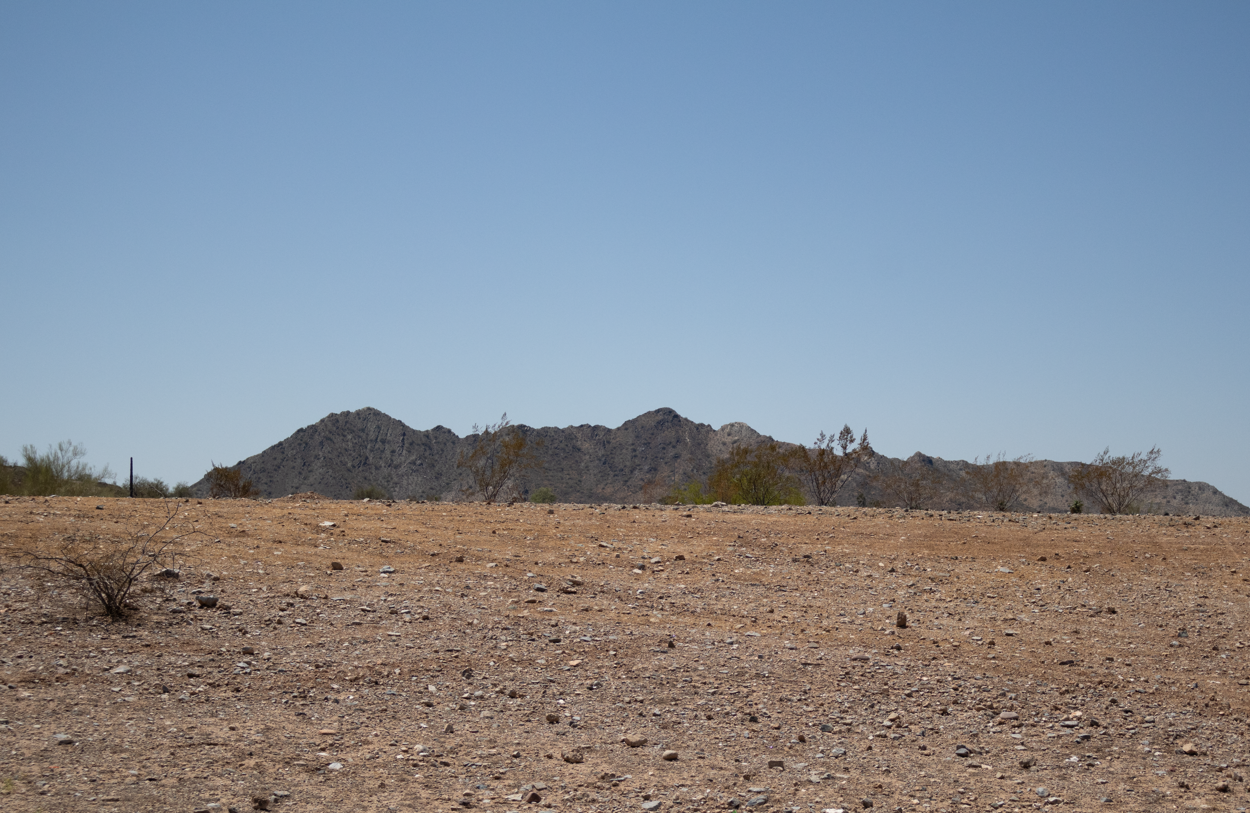 8.2.26 | Psalm 96 6-7 | The Desert | †.png