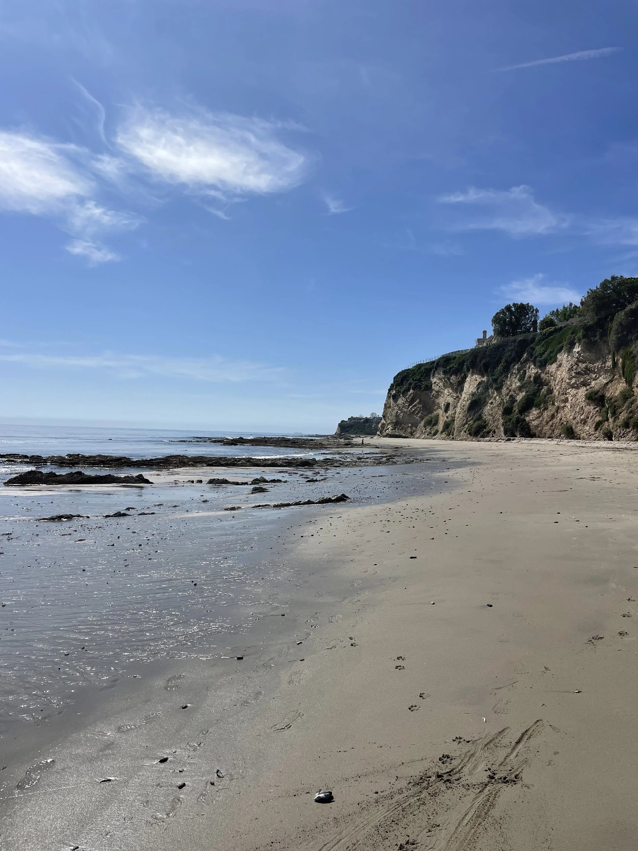 paradise, redux