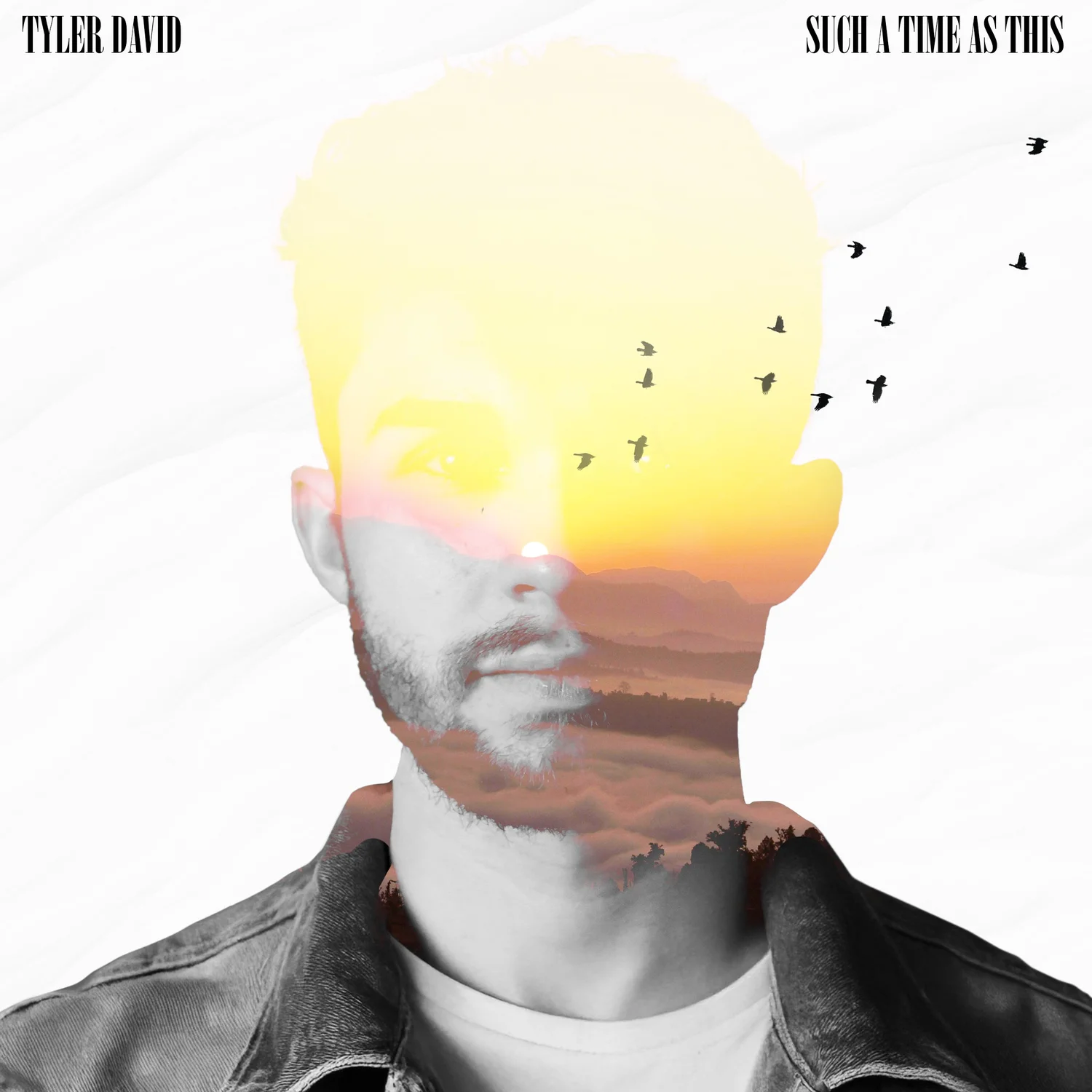 Tyler David — Official Website