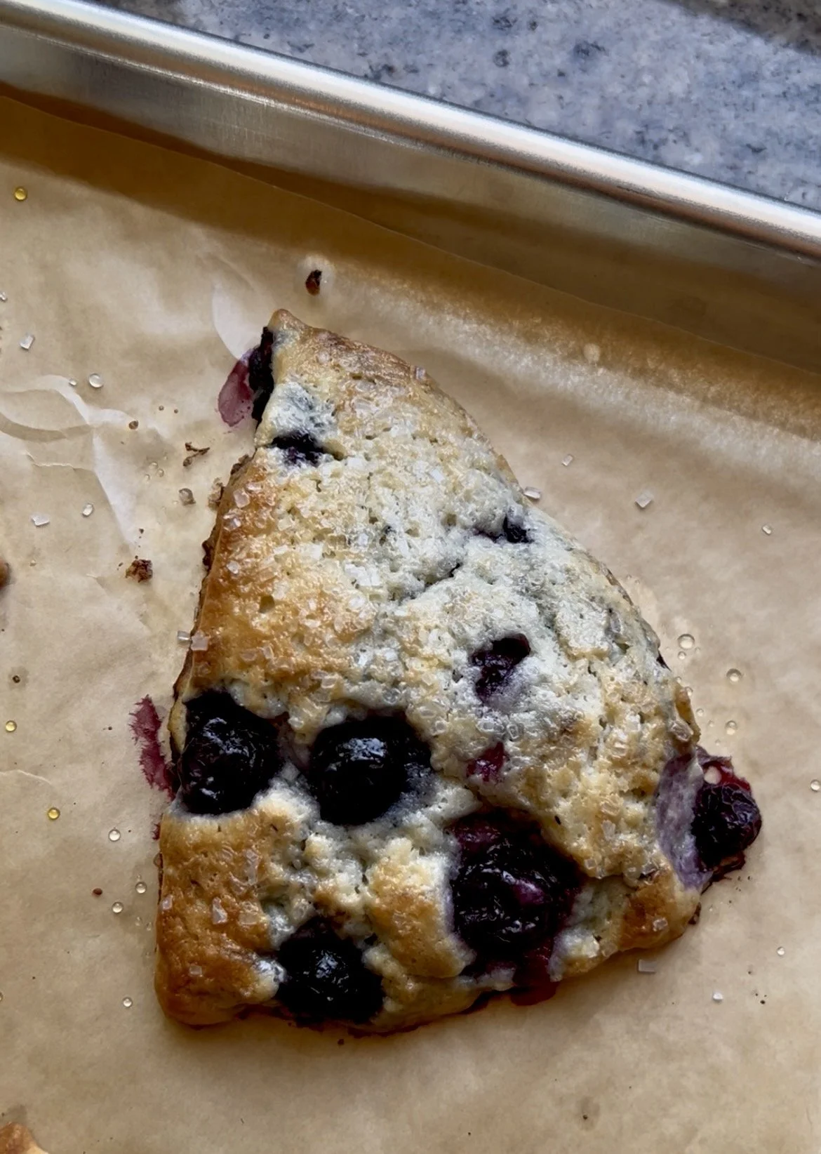 Blueberry Scones_1 scone close up.jpg