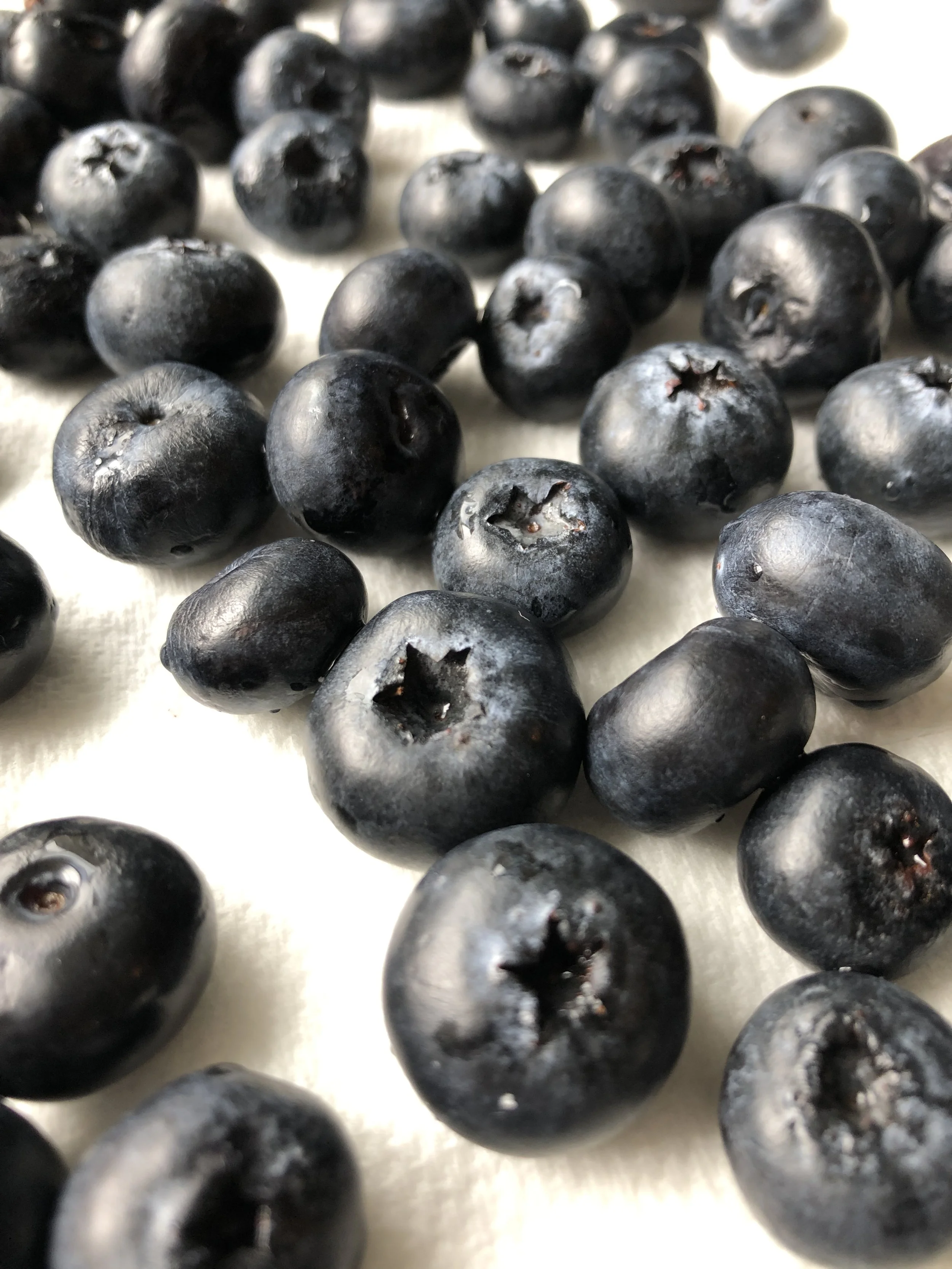 Blueberry Scones_Blueberries close up.JPG