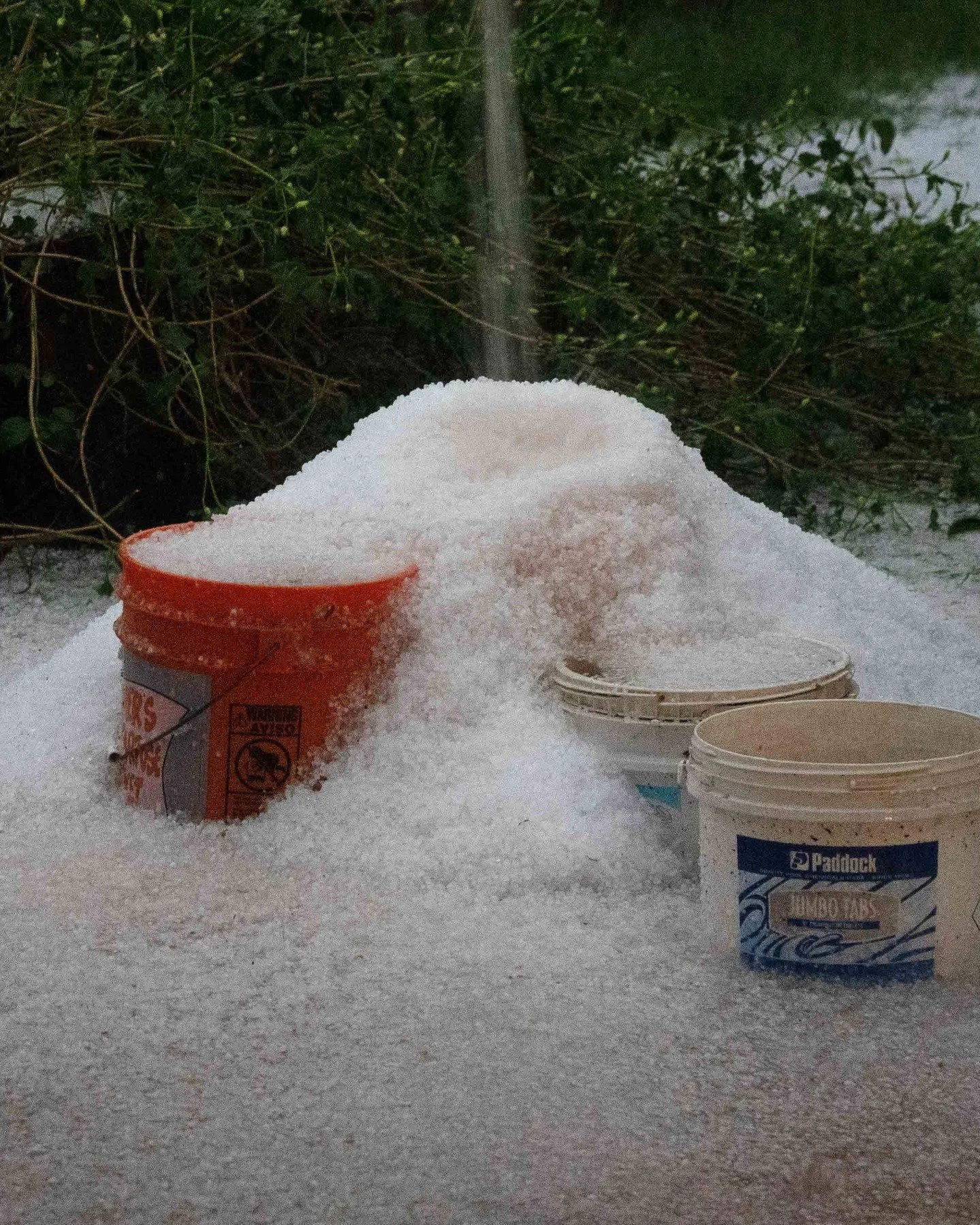 Just enjoyed a slushy storm, closest thing we've gotten to snow in recent memory