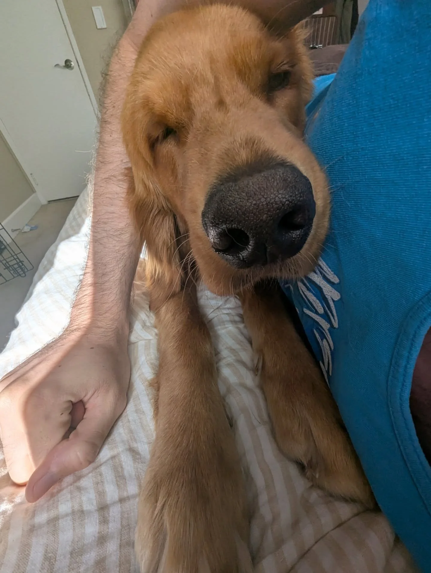 imma get back to good posts in a bit, back home after taking care of this goober for the last 3 weeks