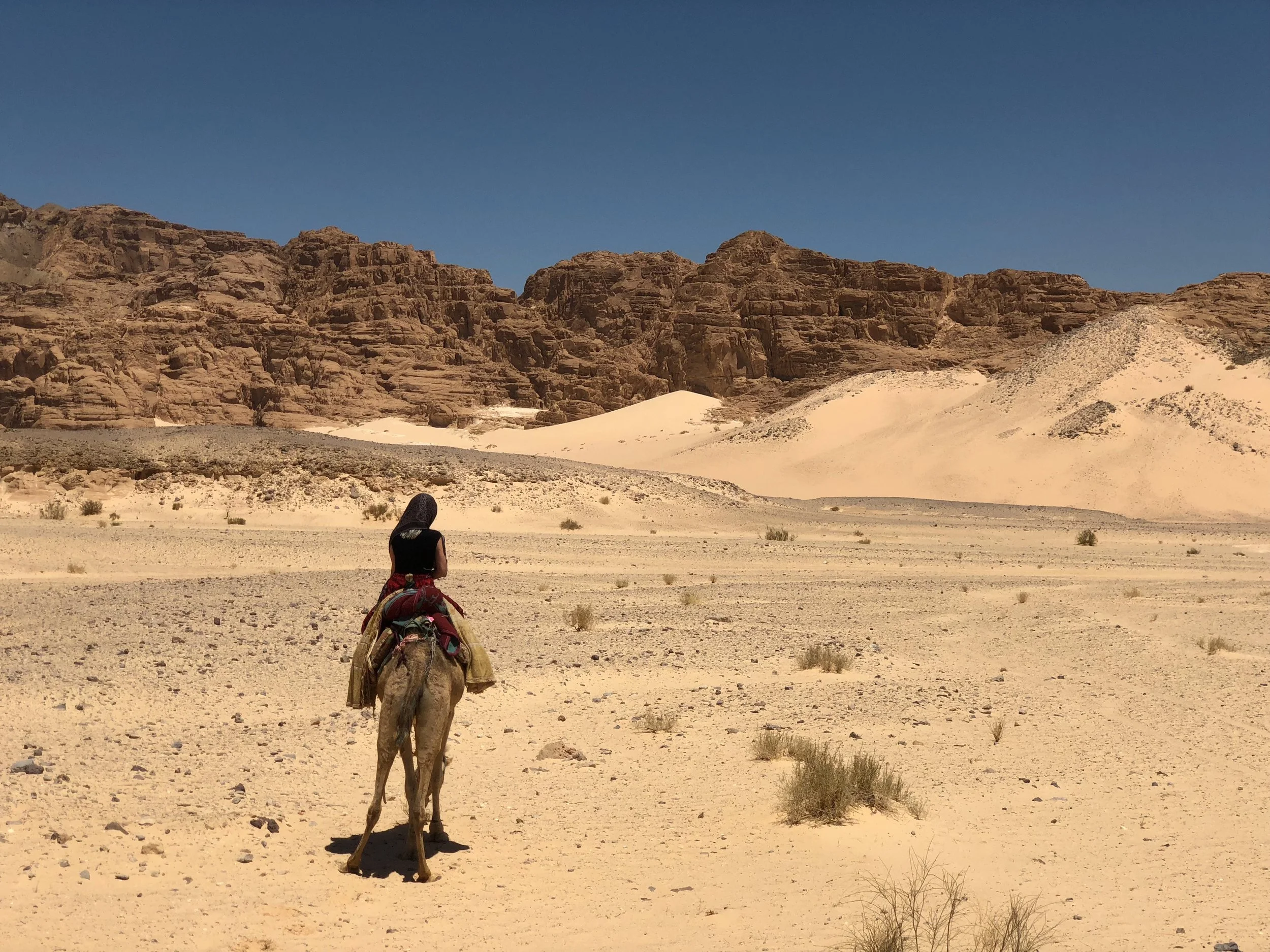 Sarah Henderson grief therapist Phoenix in the Sinai Desert