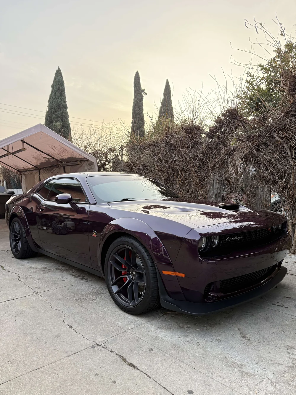 Dark purple Dodge Challenger muscle car