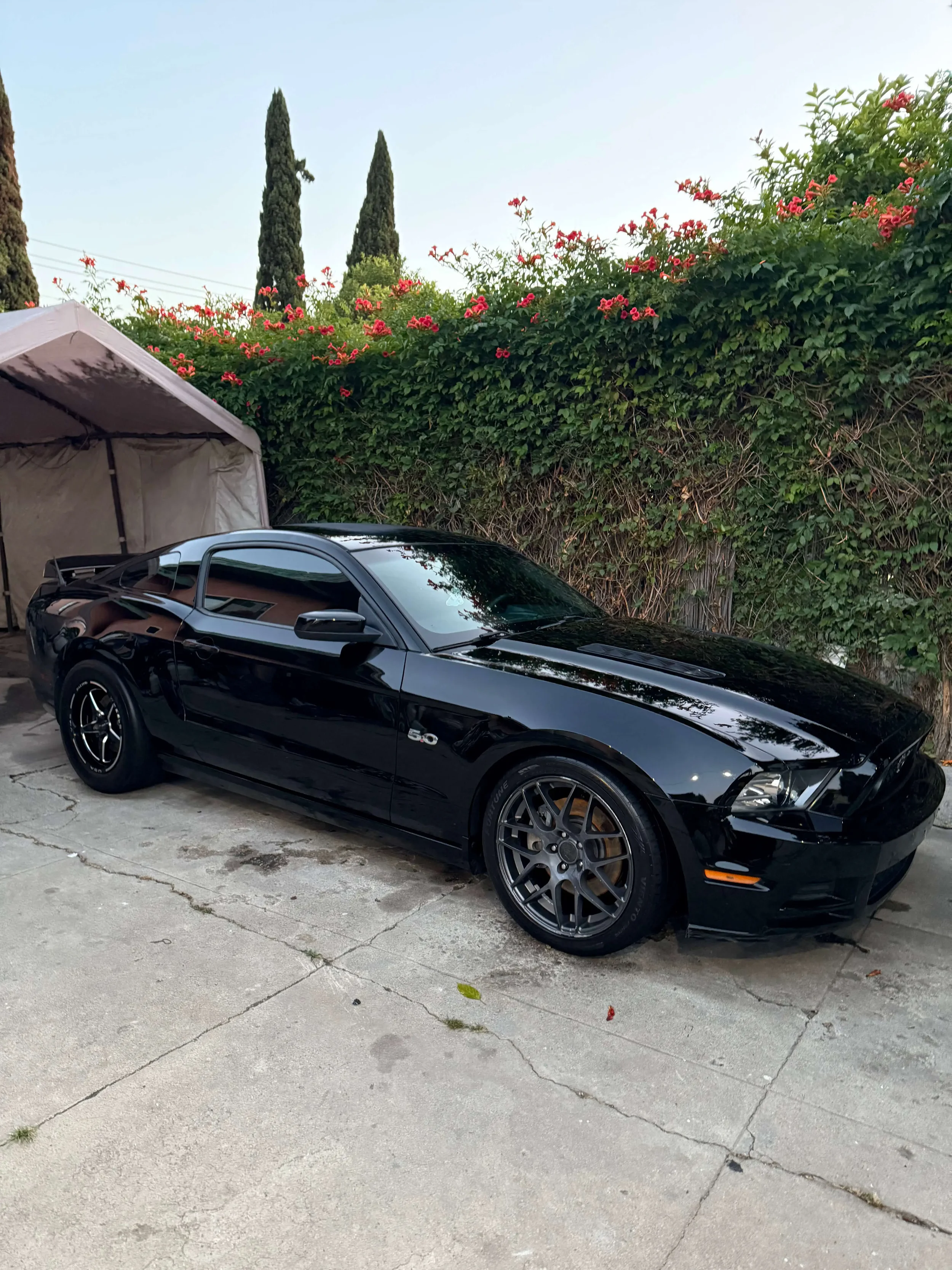 Black Ford Mustang with flawless ceramic coating