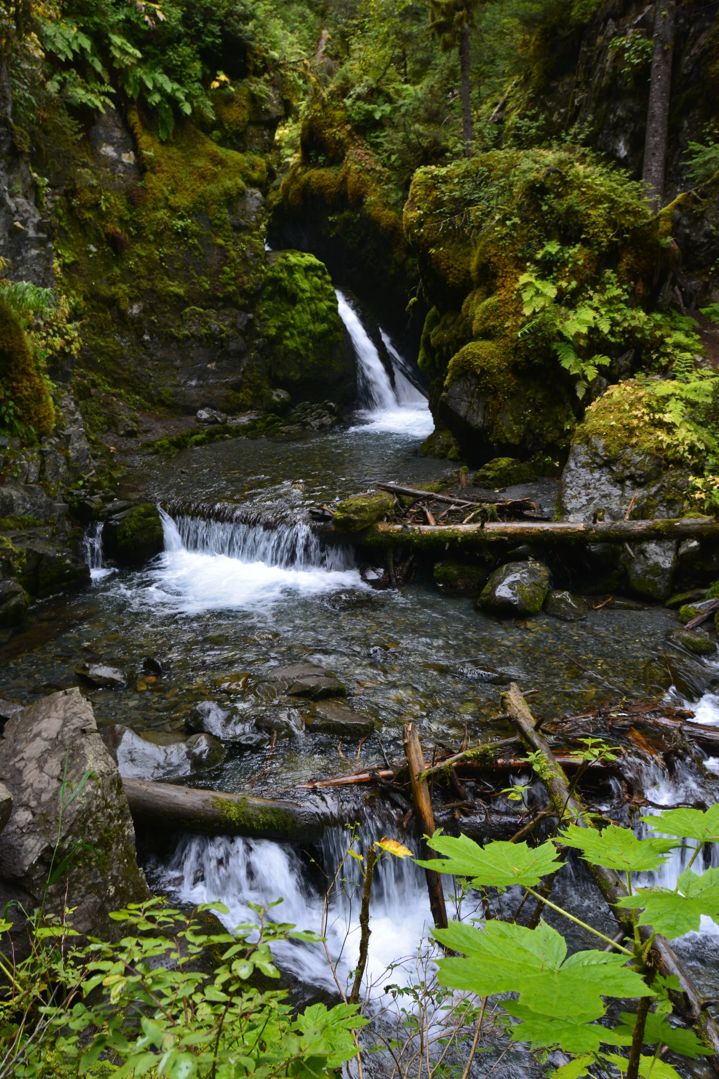 _DSC0276.jpeg