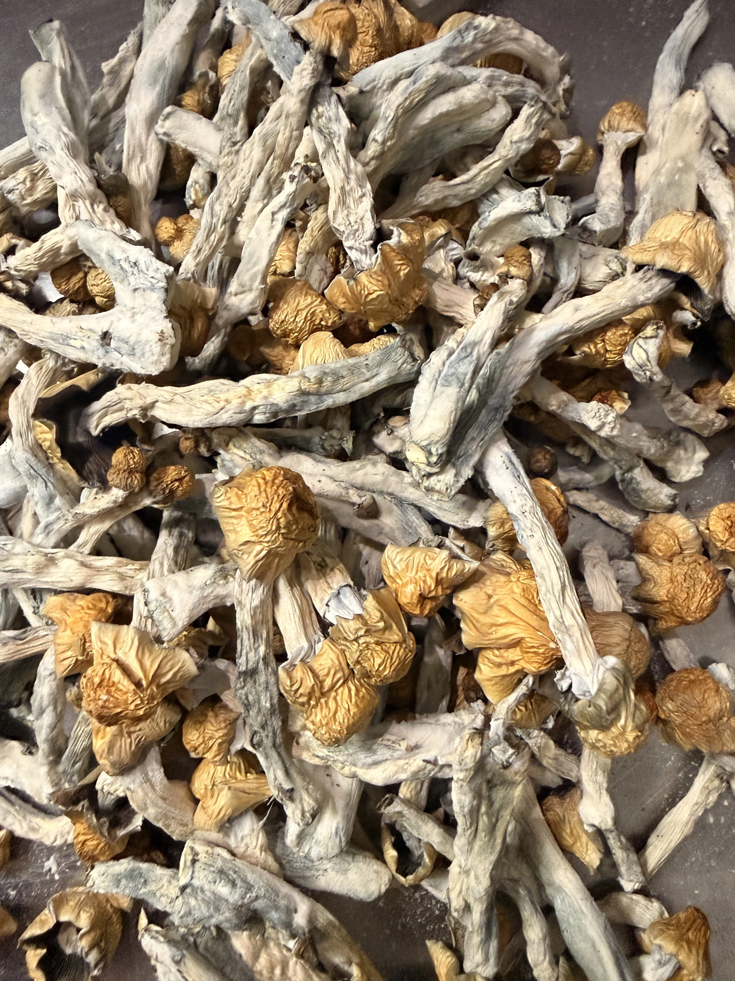 Ol' Dirty Penis Envy