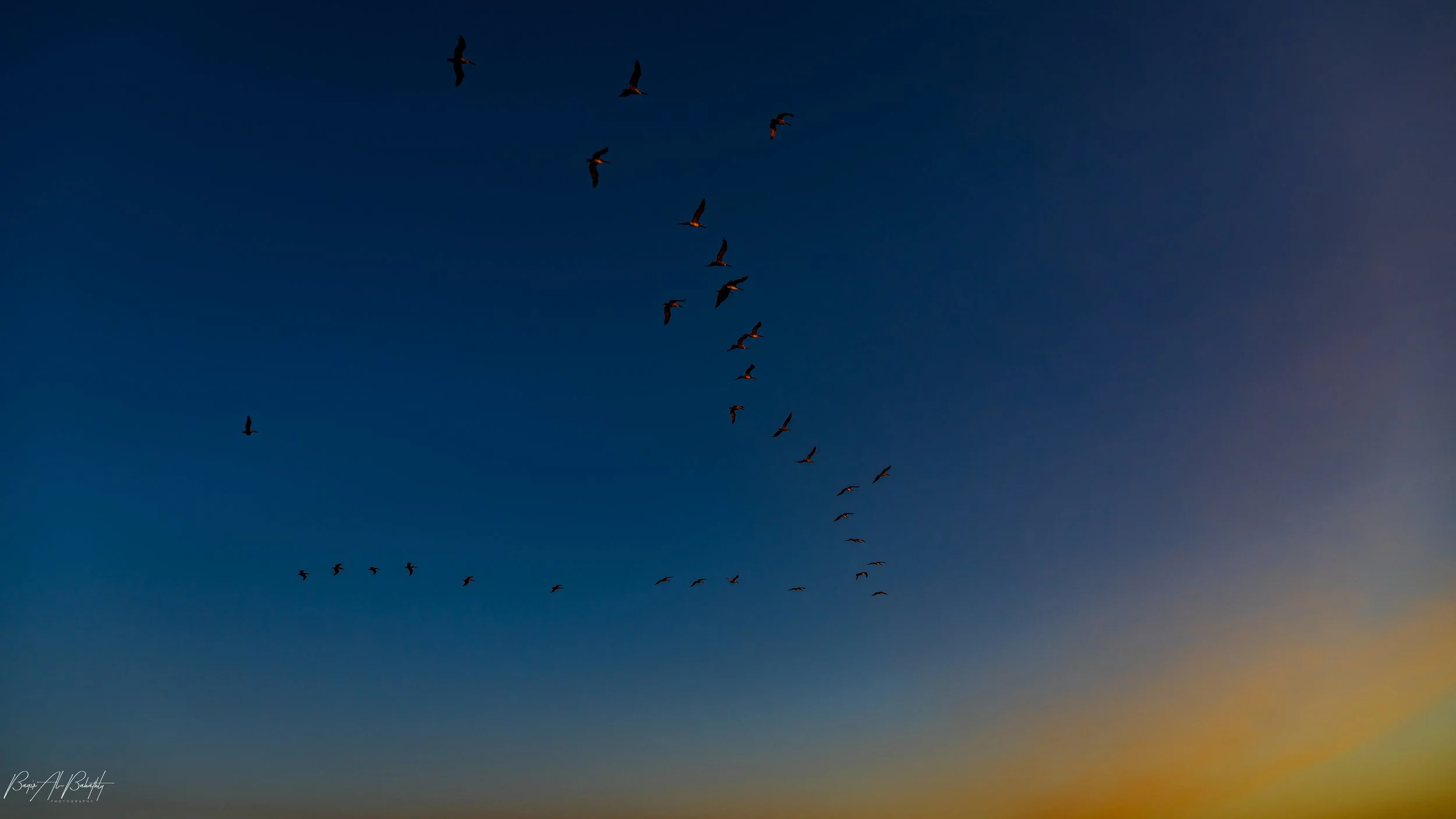 Long Beach 2025-17.jpg