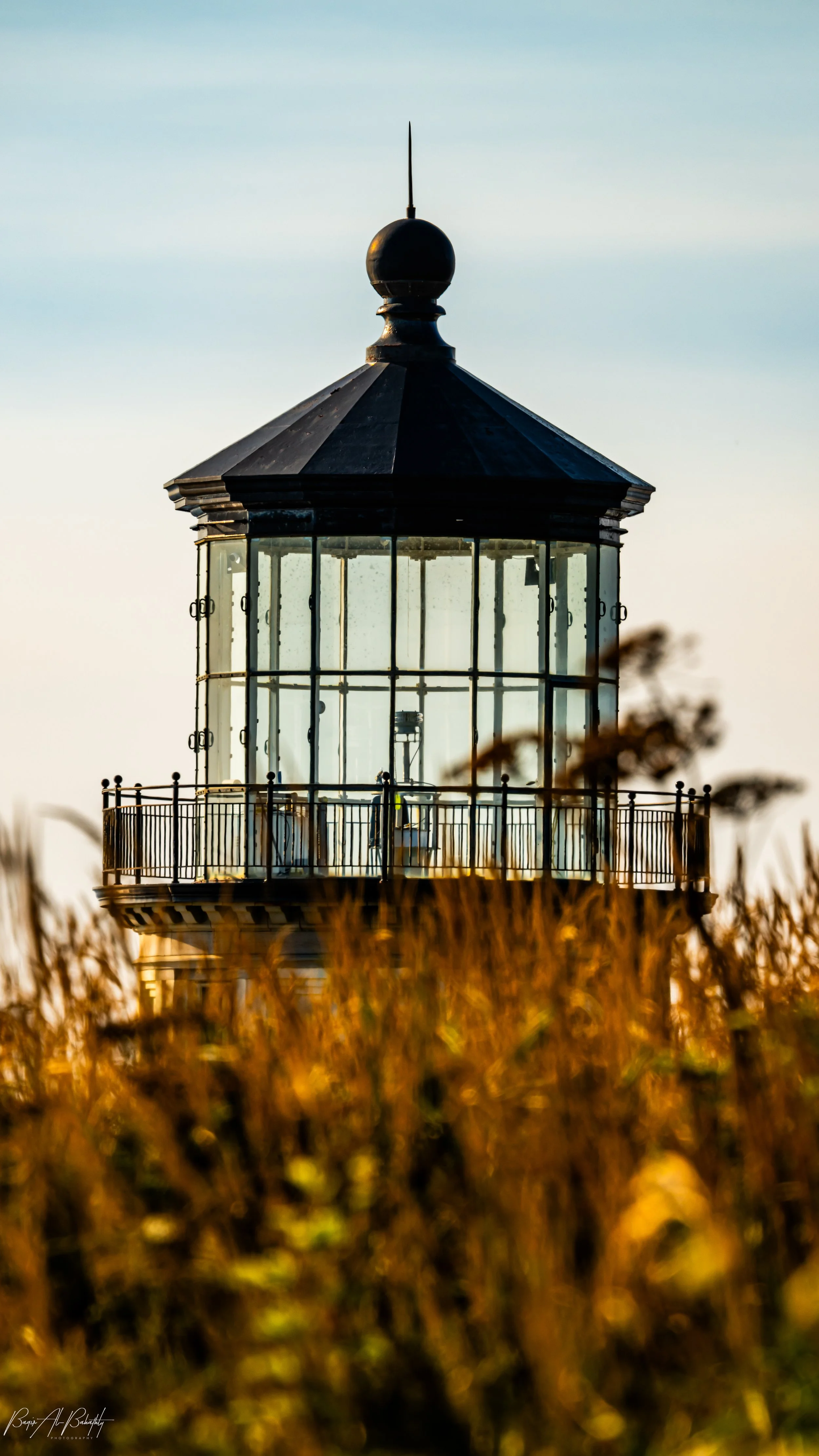 Long beach 2025-1 (1).jpg