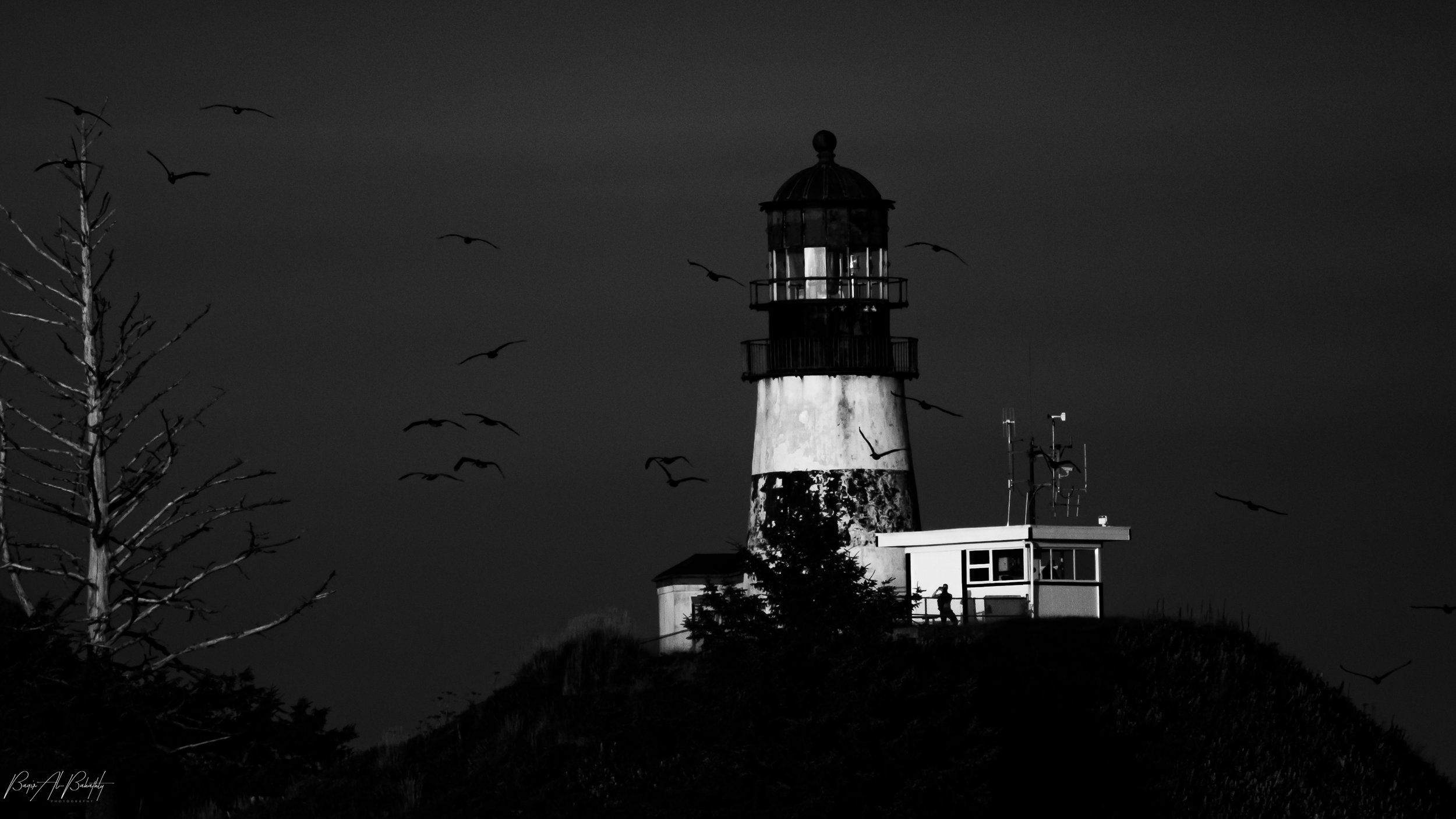 Long beach 2025-18.jpg