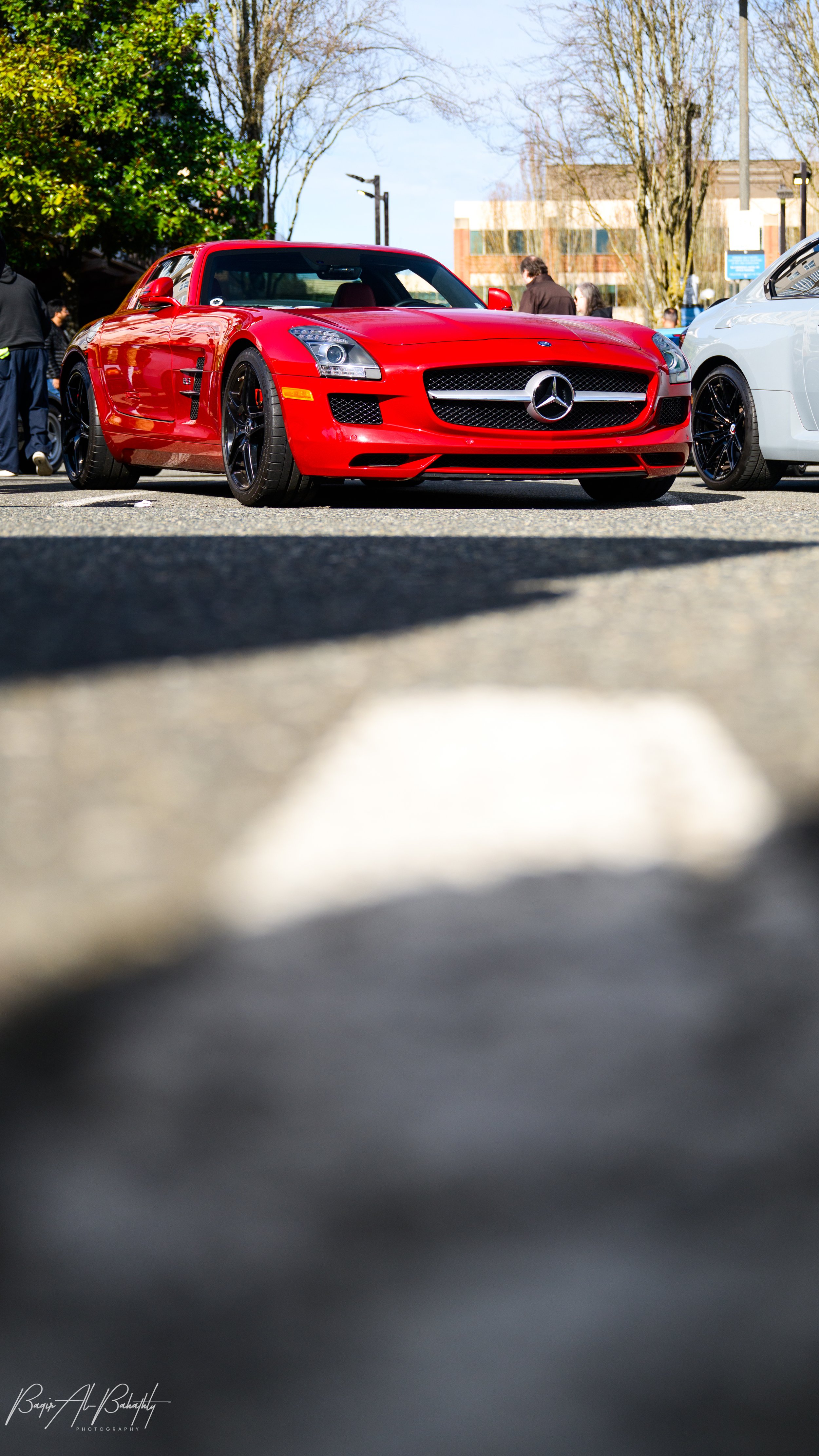 DSC_9425.jpg