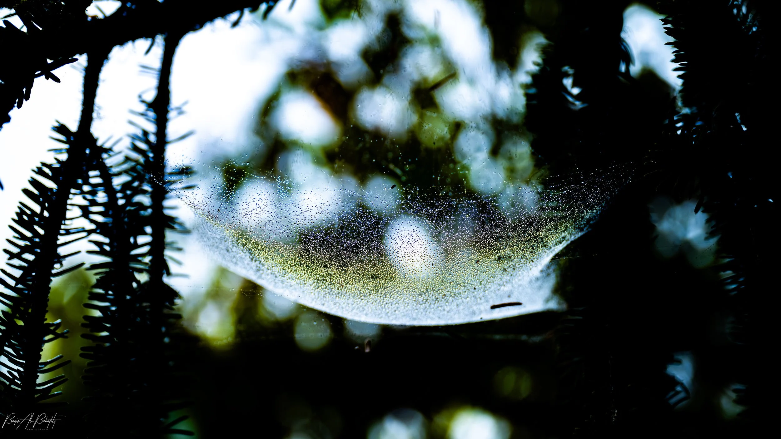 Long Beach 2025-7.jpg