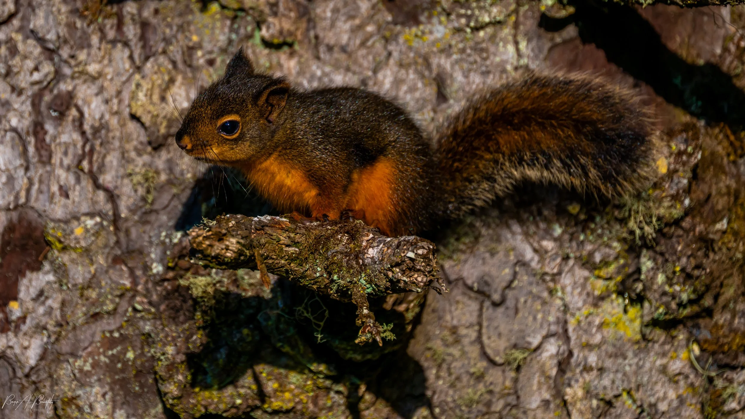 Long beach 2025-11 (1).jpg