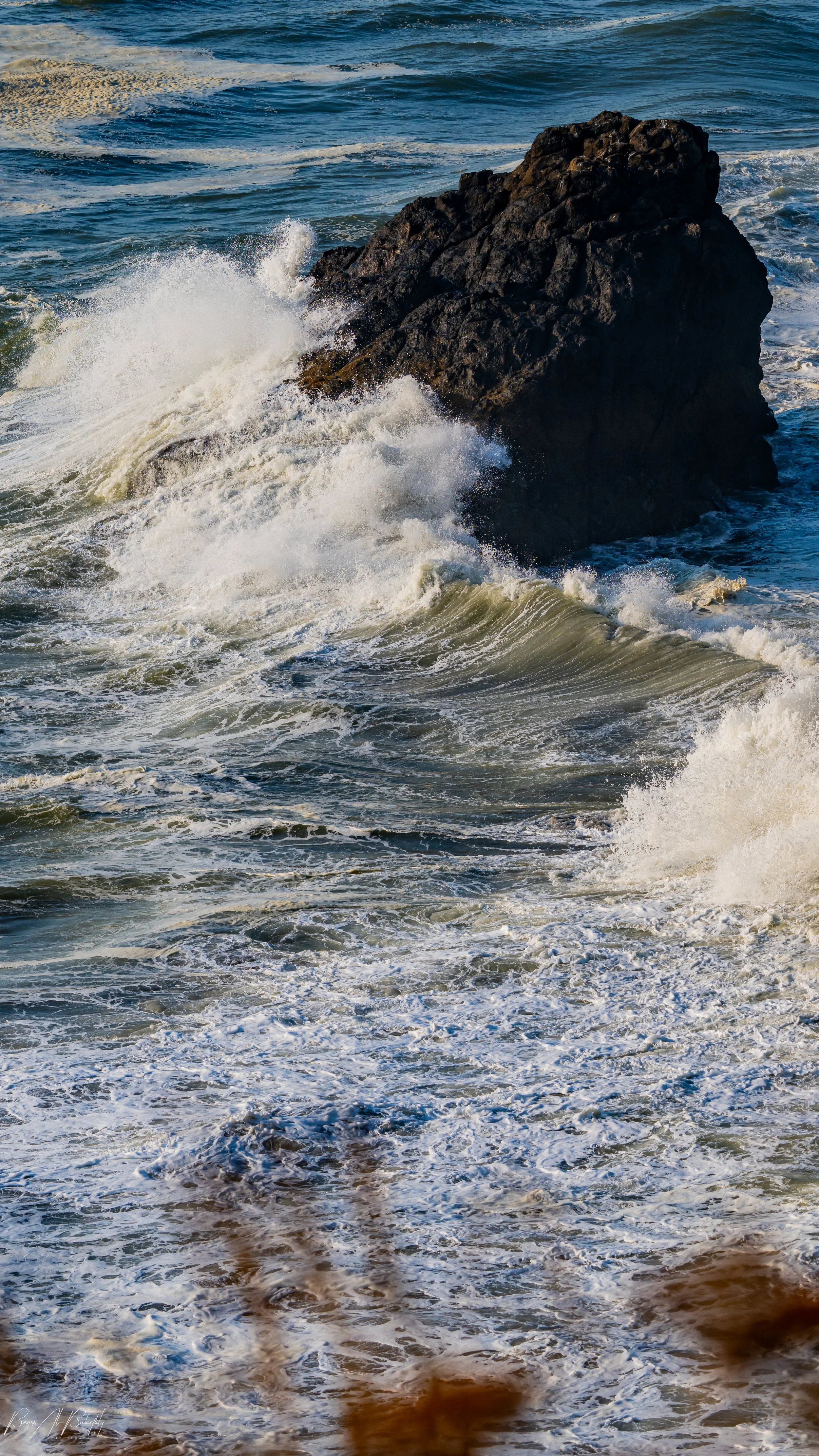 Long beach 2025-4 (1).jpg