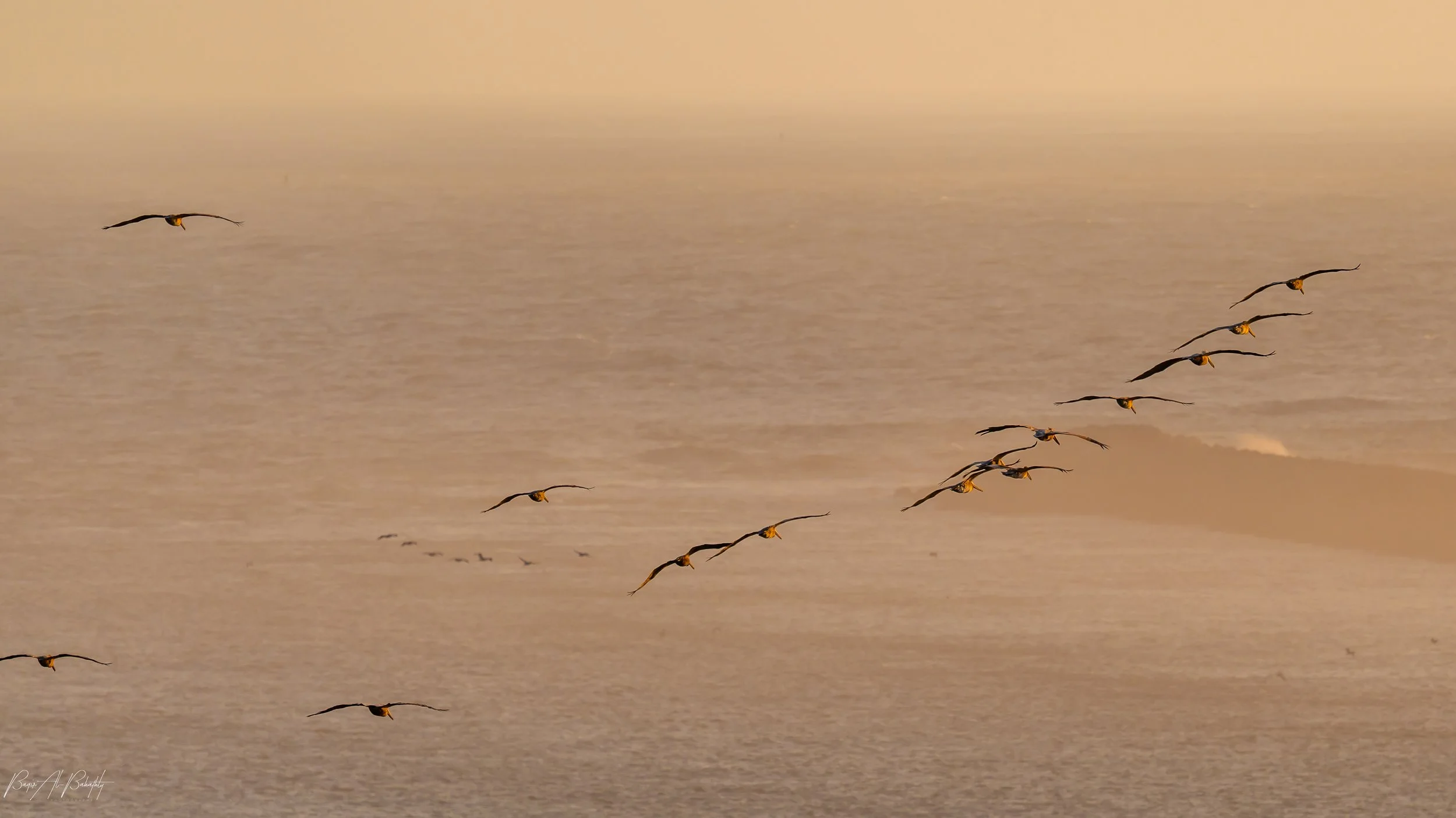 Long beach 2025-17 (1).jpg