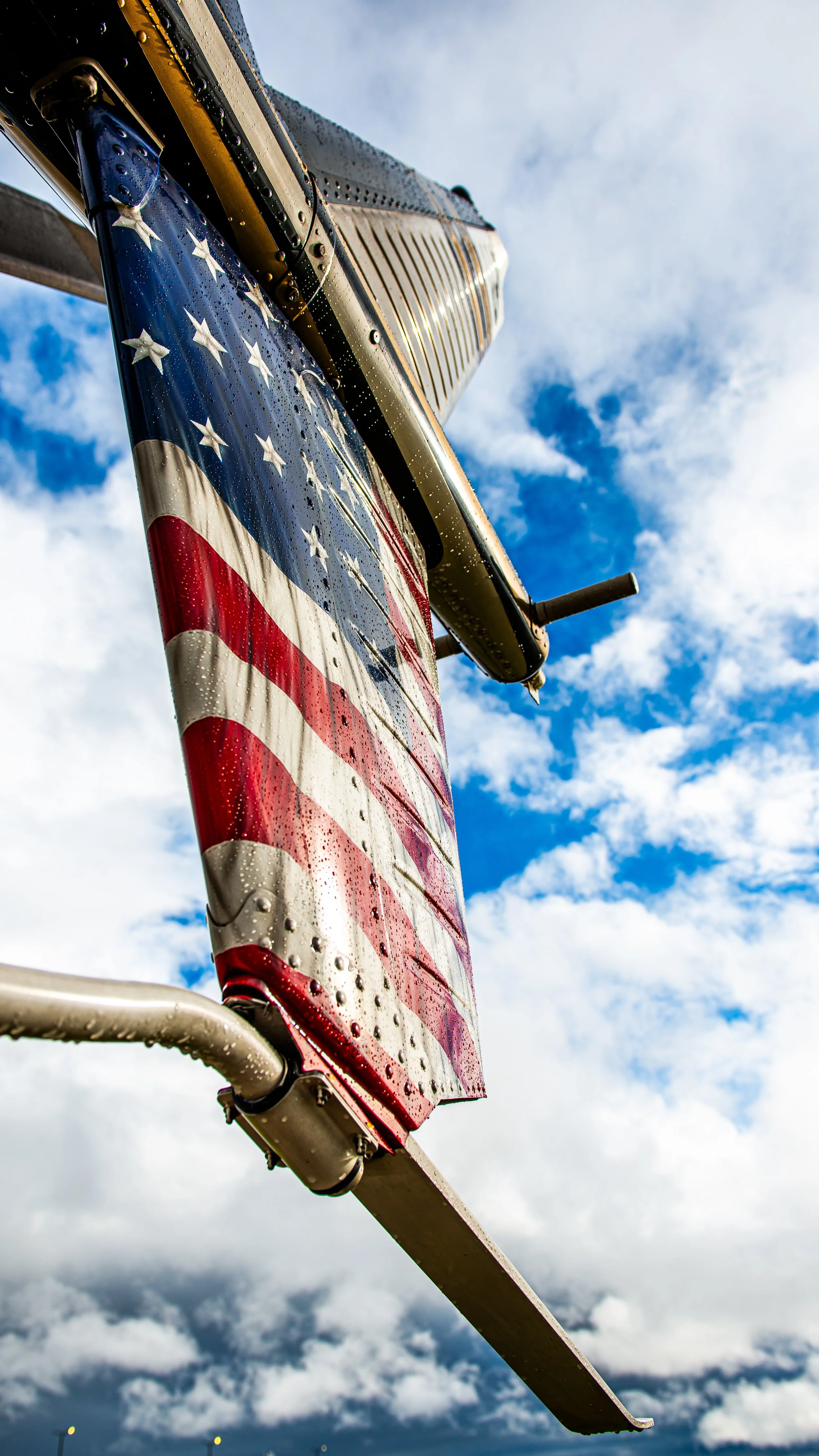 American tail090524_1.jpg