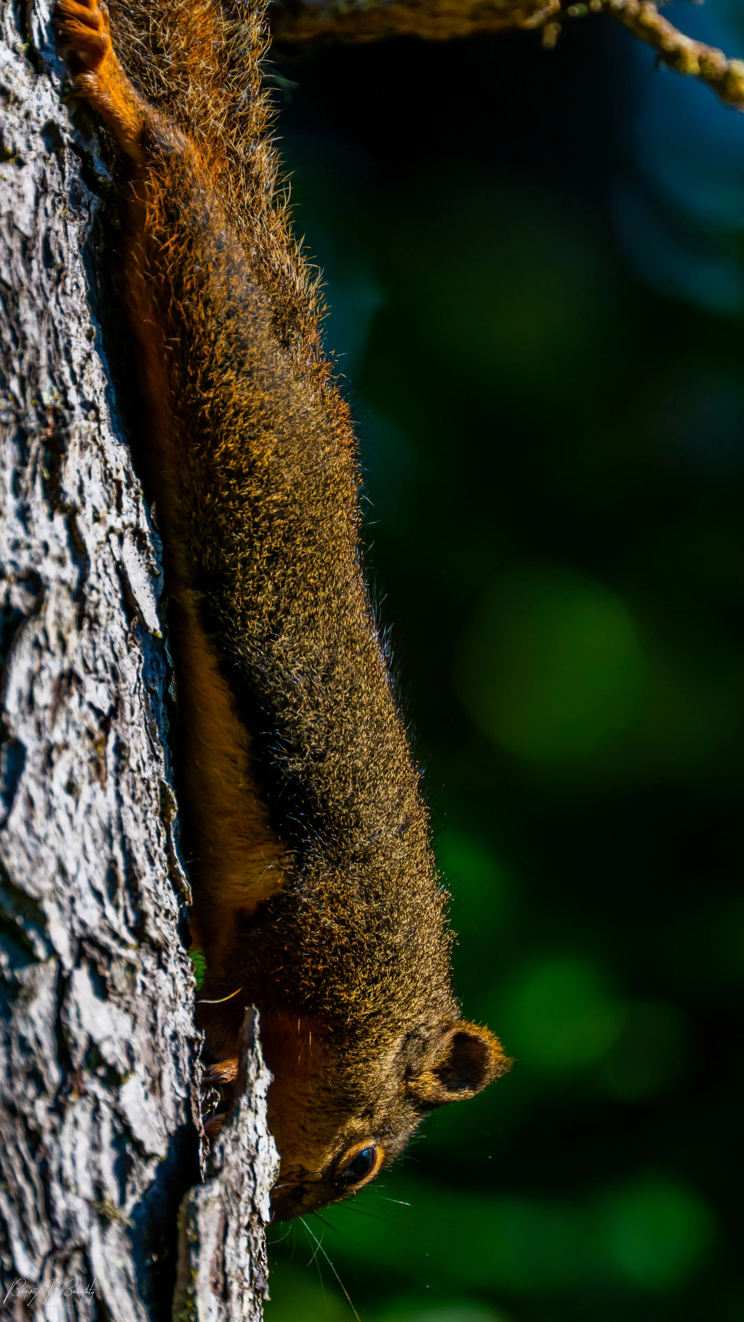 Long beach 2025-15.jpg