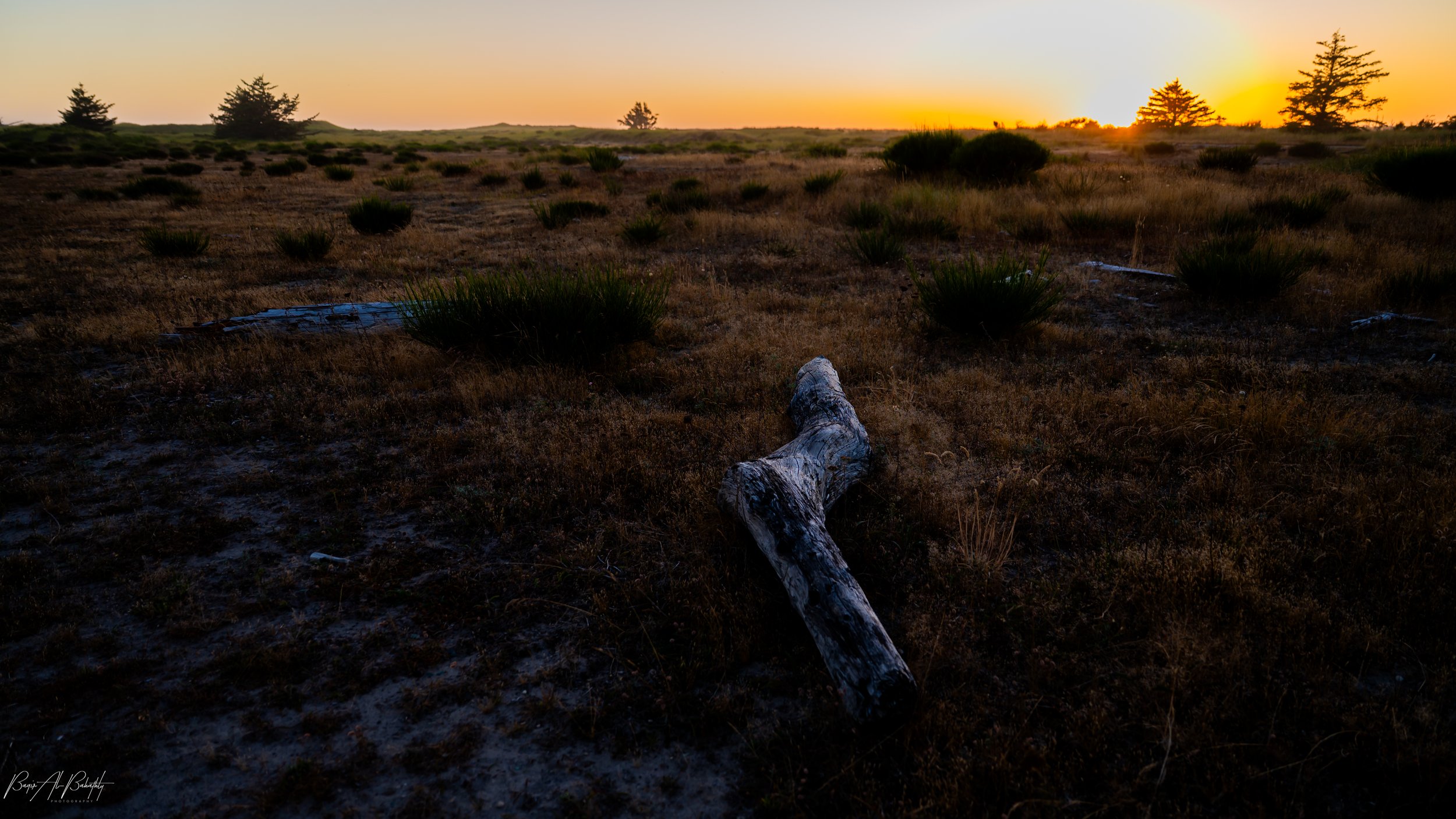 Long beach 2025-16 (1).jpg