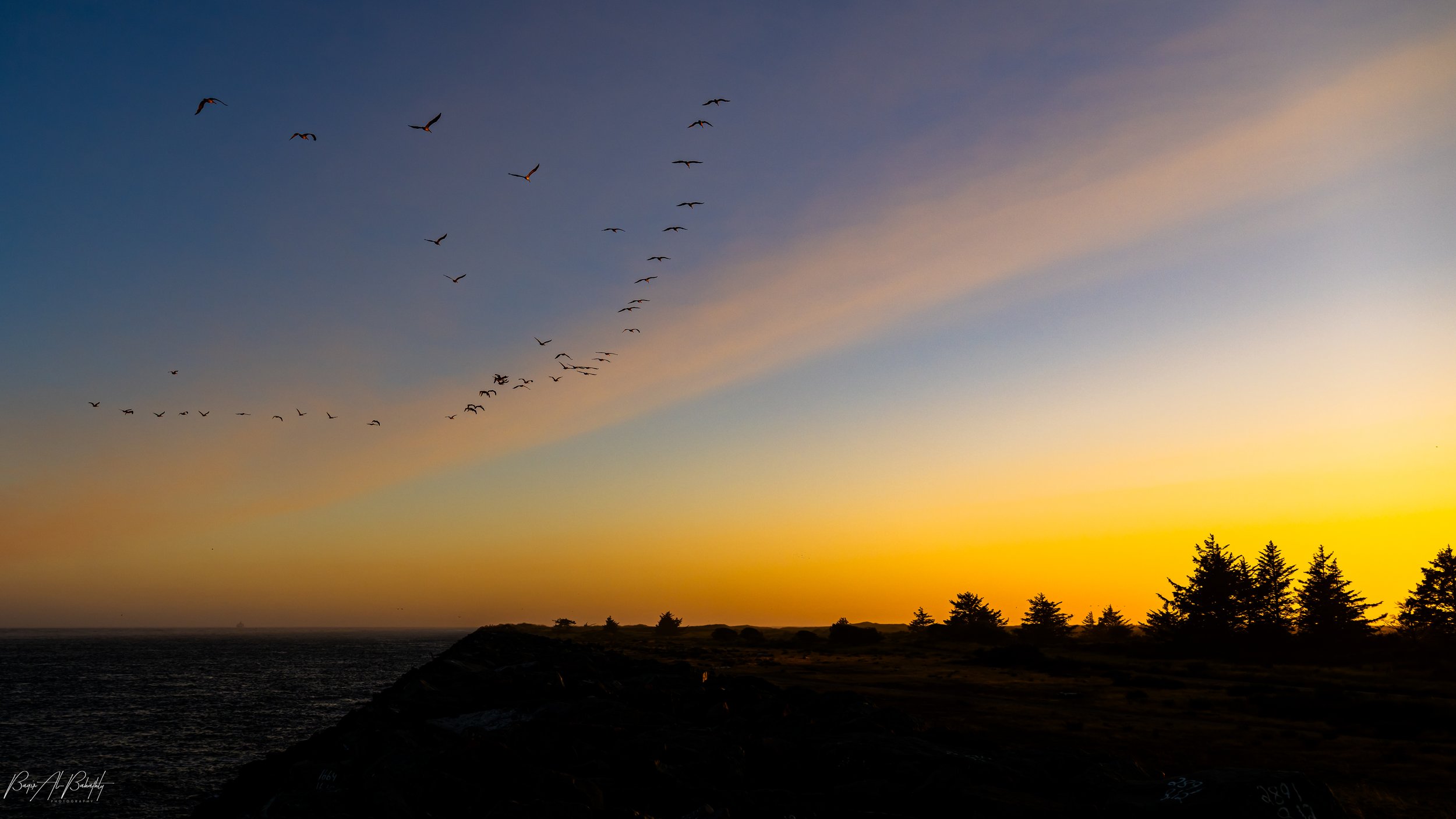 Long Beach 2025-18.jpg