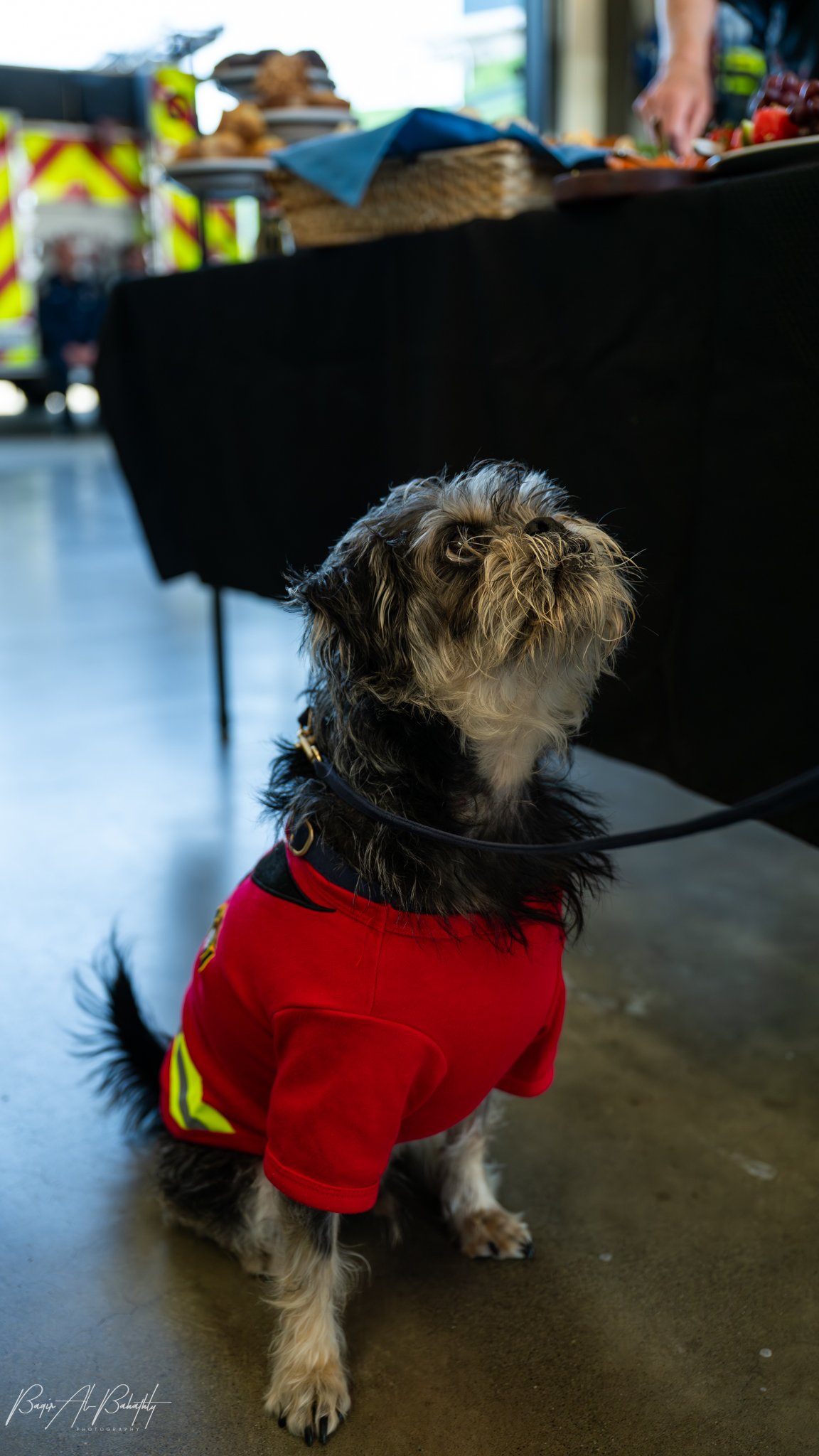 ARFF 26B ceremony squarespace-20.jpg